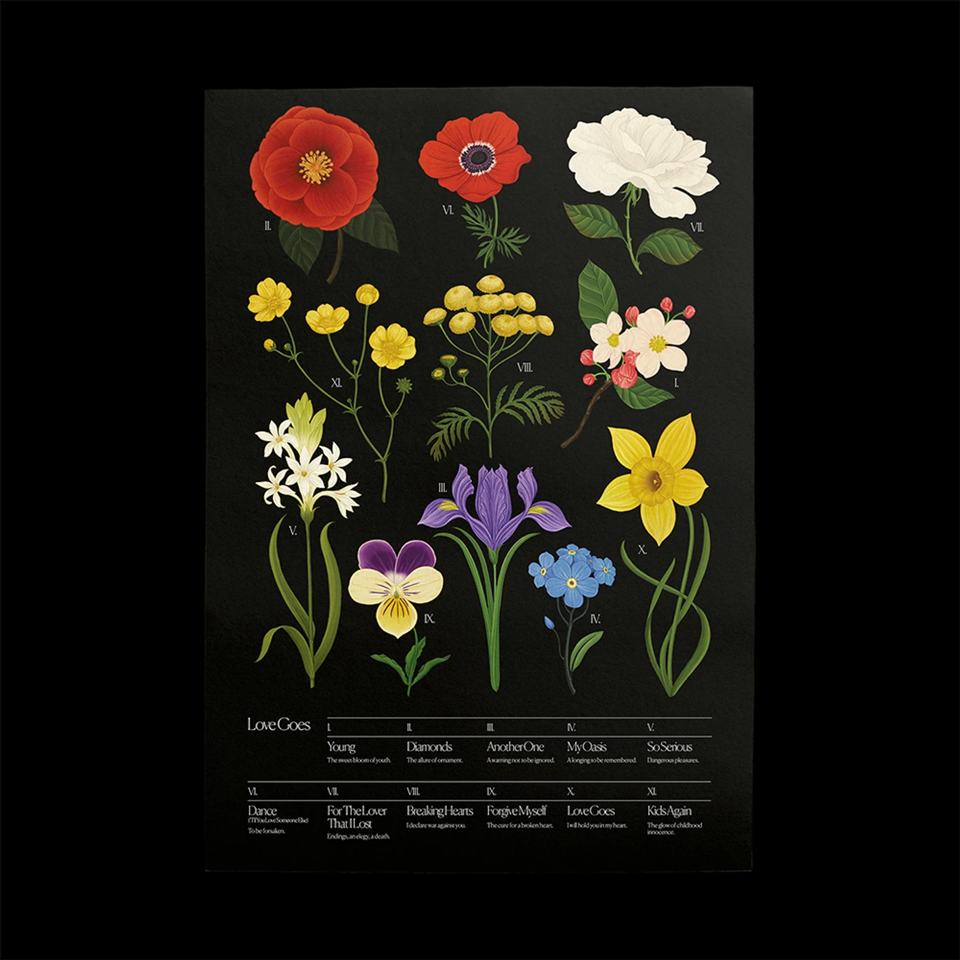 Sam Smith BOTANICAL POSTER