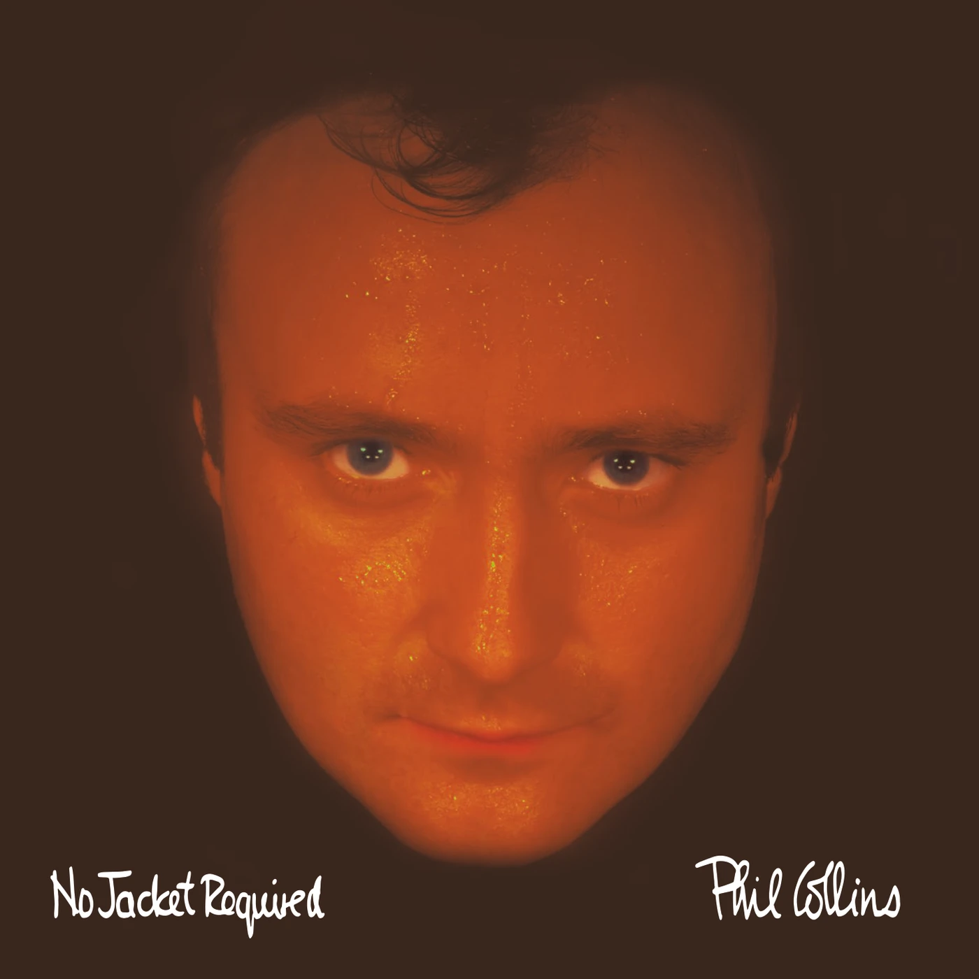 Phil Collins No Jacket Required (1CD)