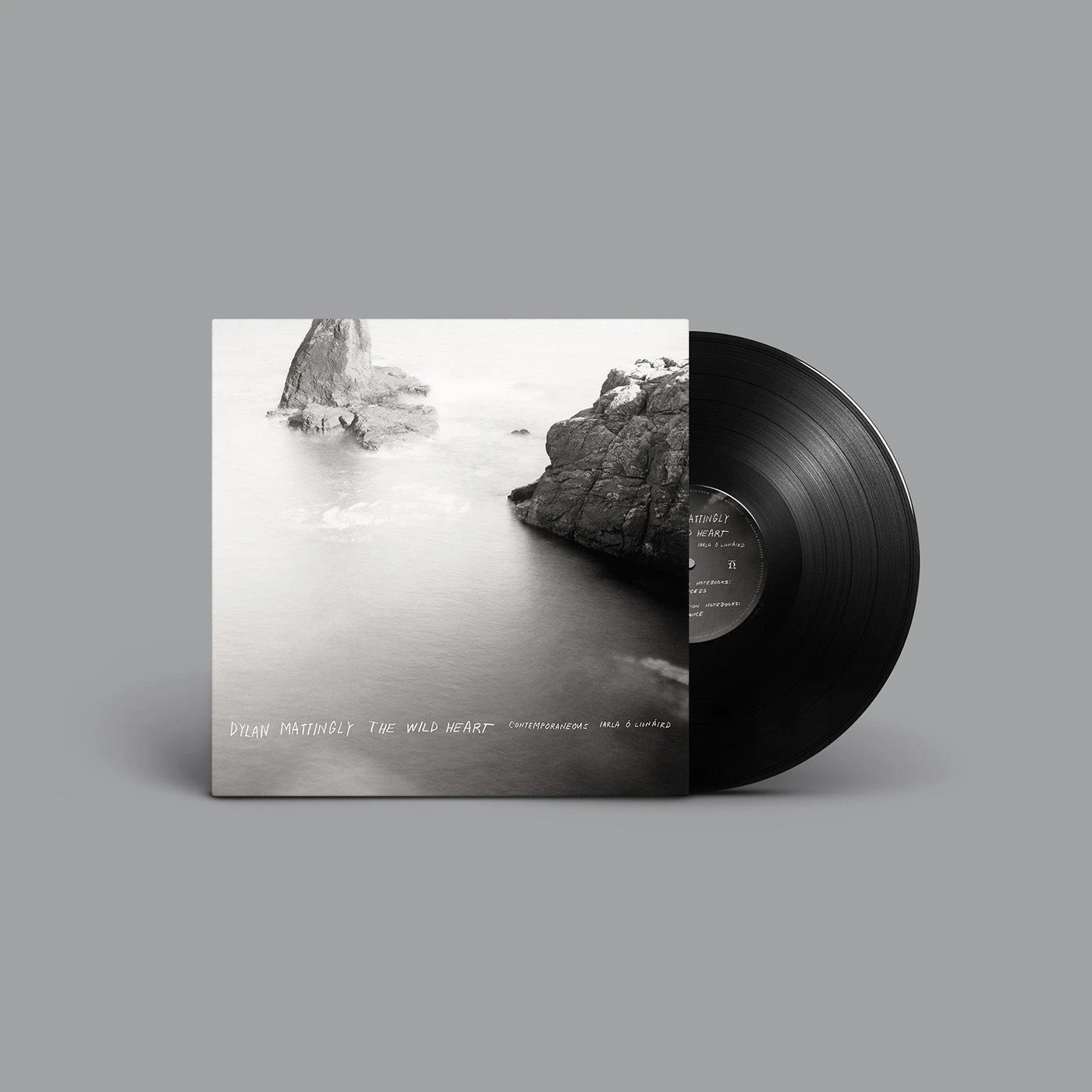 Dylan Mattingly The Wild Heart LP + MP3 Bundle (Vinyl)