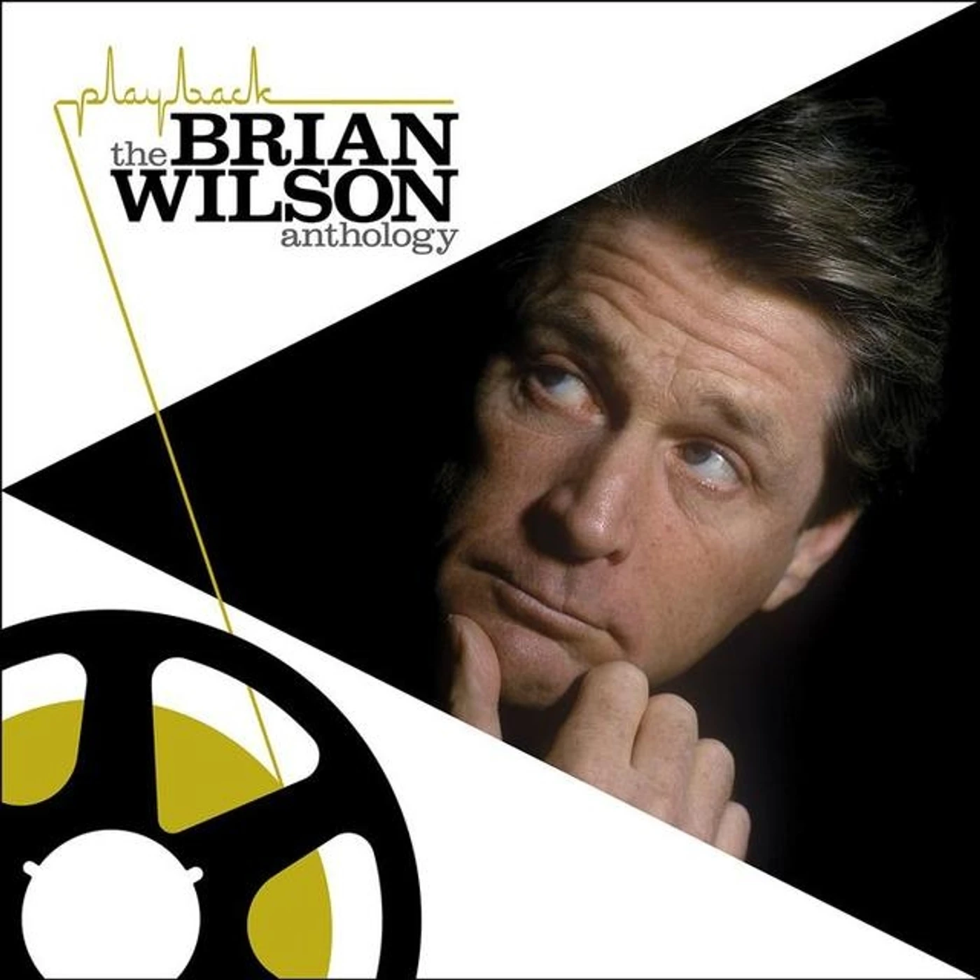 Playback: The Brian Wilson Anthology CD