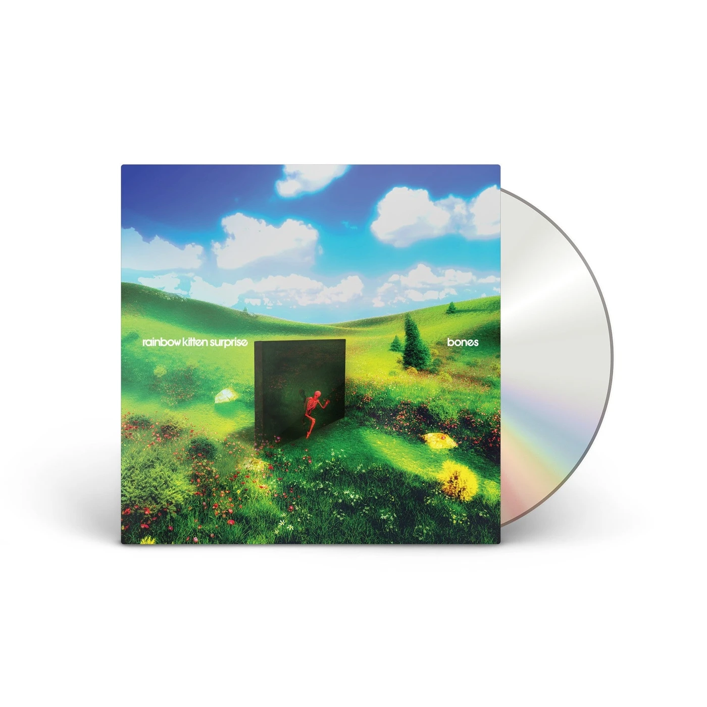 Rainbow Kitten Surprise bones [CD]