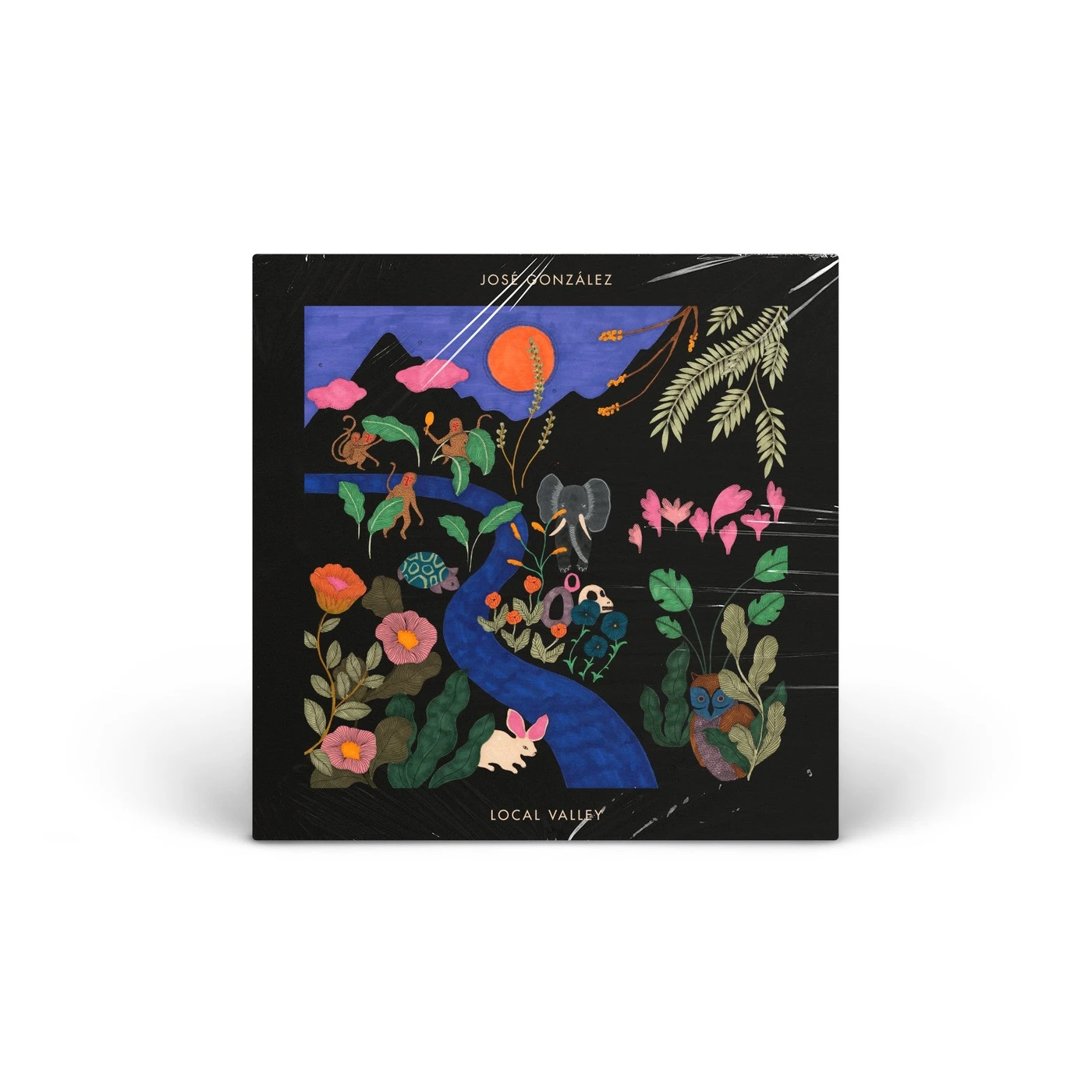 José González Local Valley Vinyl [LP]