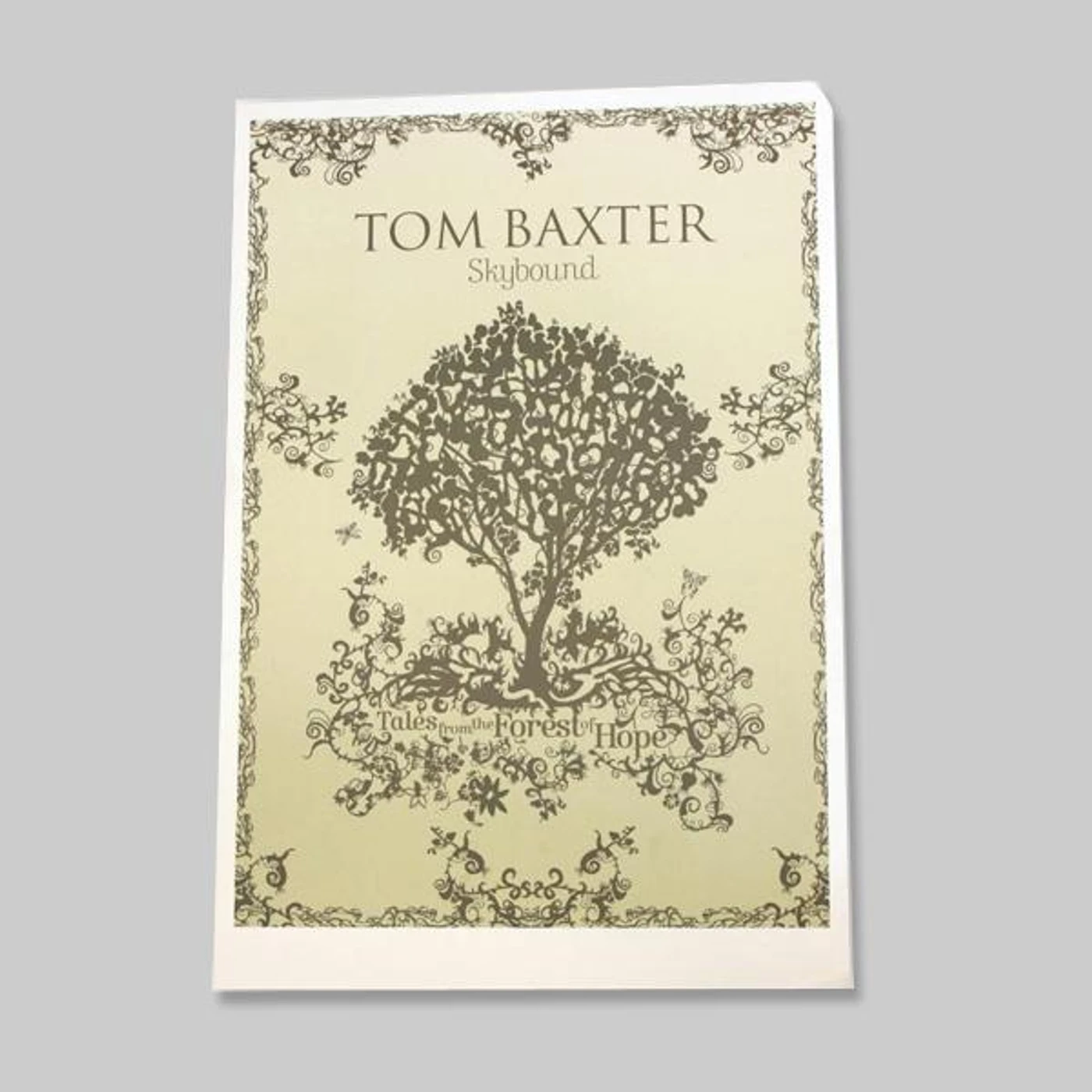 Tom Baxter Skybound Poster
