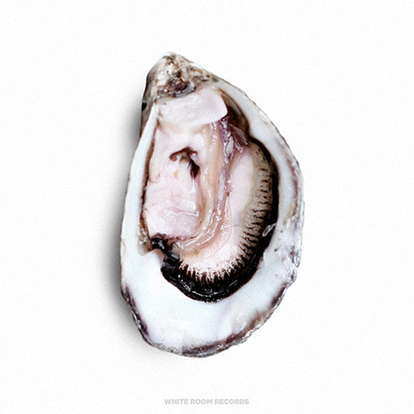 JMSN Pearl - Open [Digital Download]