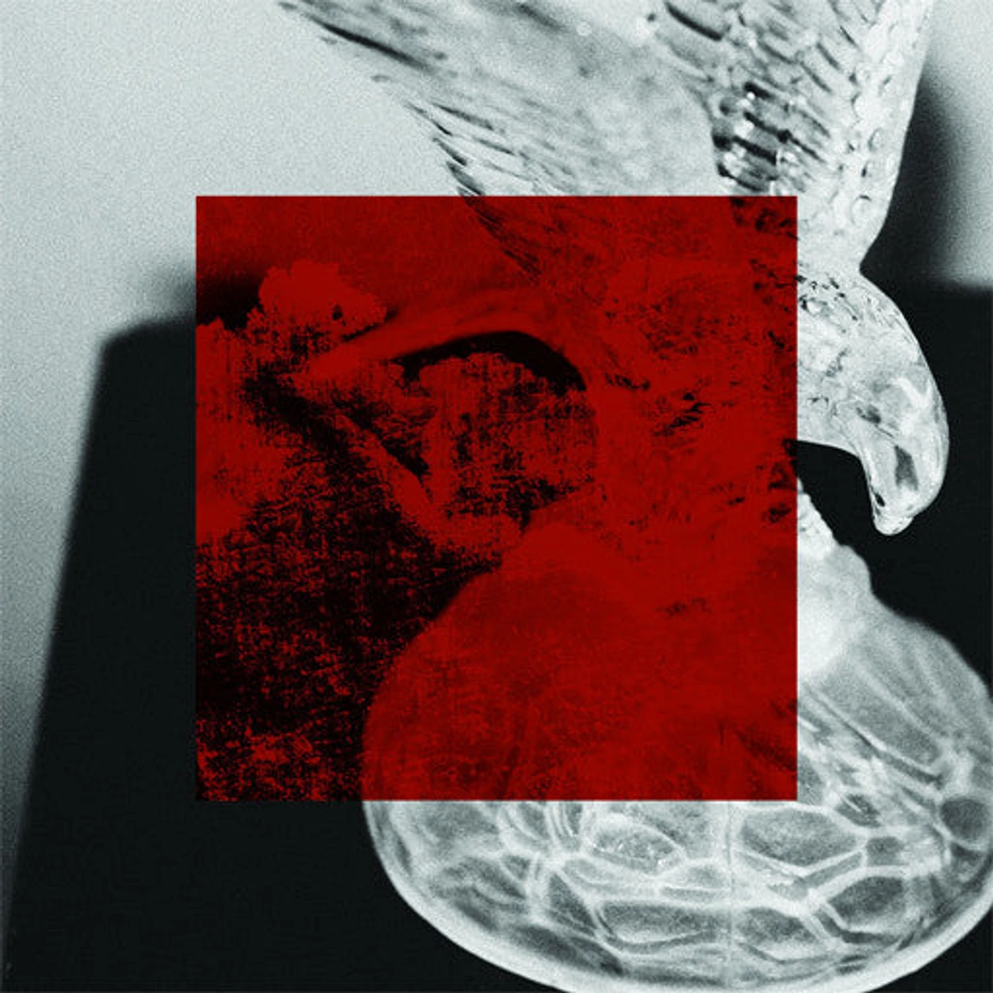 JMSN †Priscilla† Instrumentals [Digital Download]