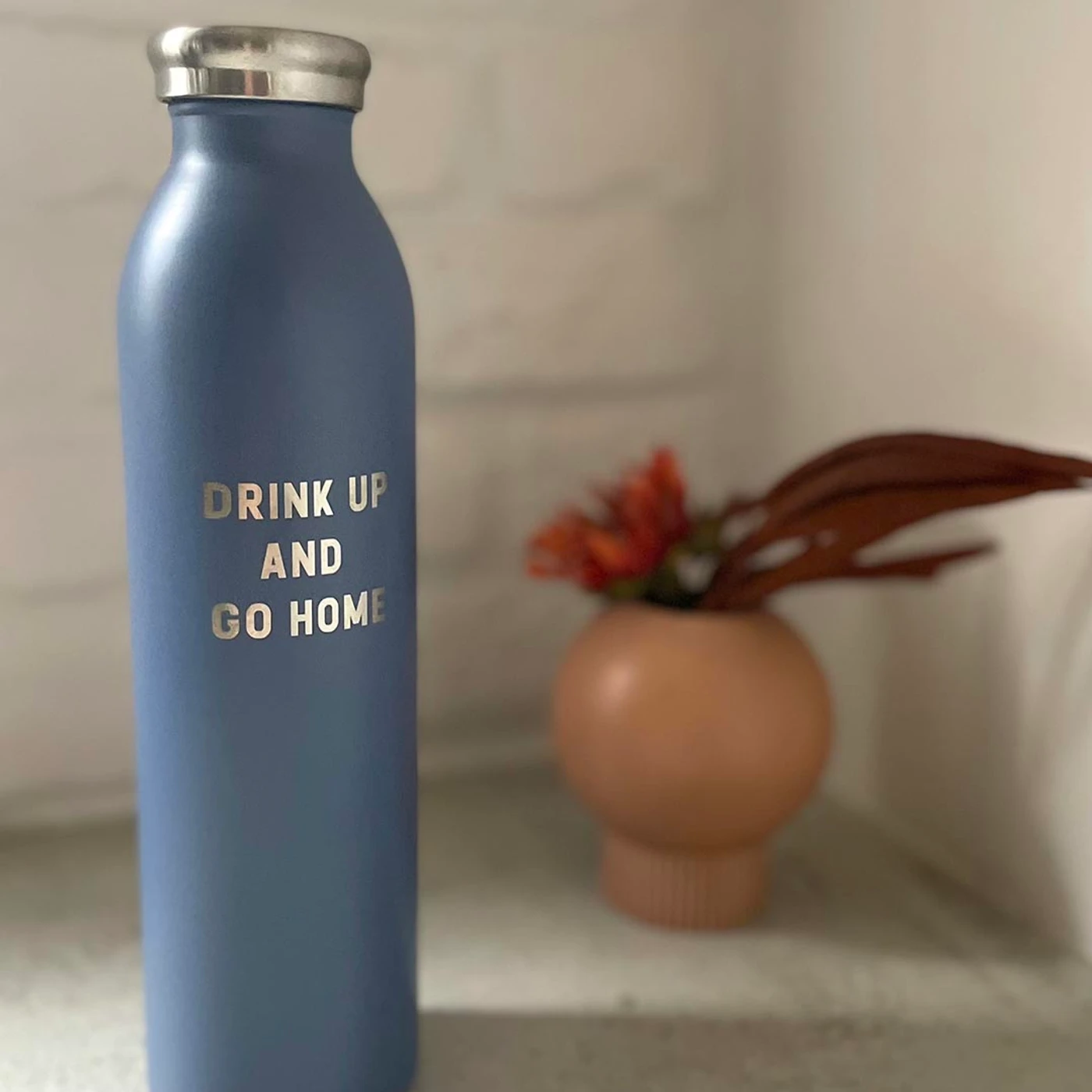 The Bluegrass Situation - Drink Up And Go Home Stainless Steel Water Bottle