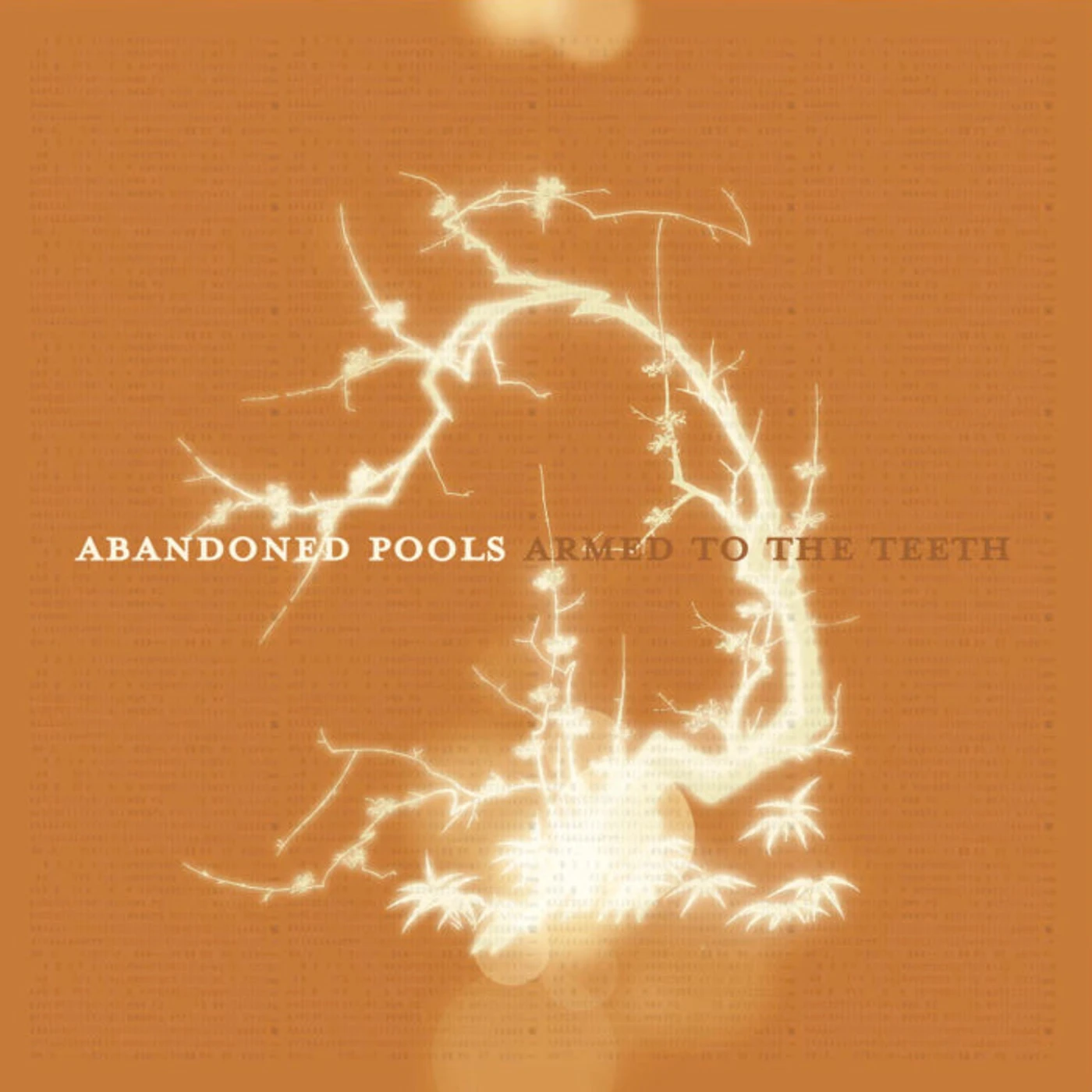 Abandoned Pools - Armed To The Teeth CD