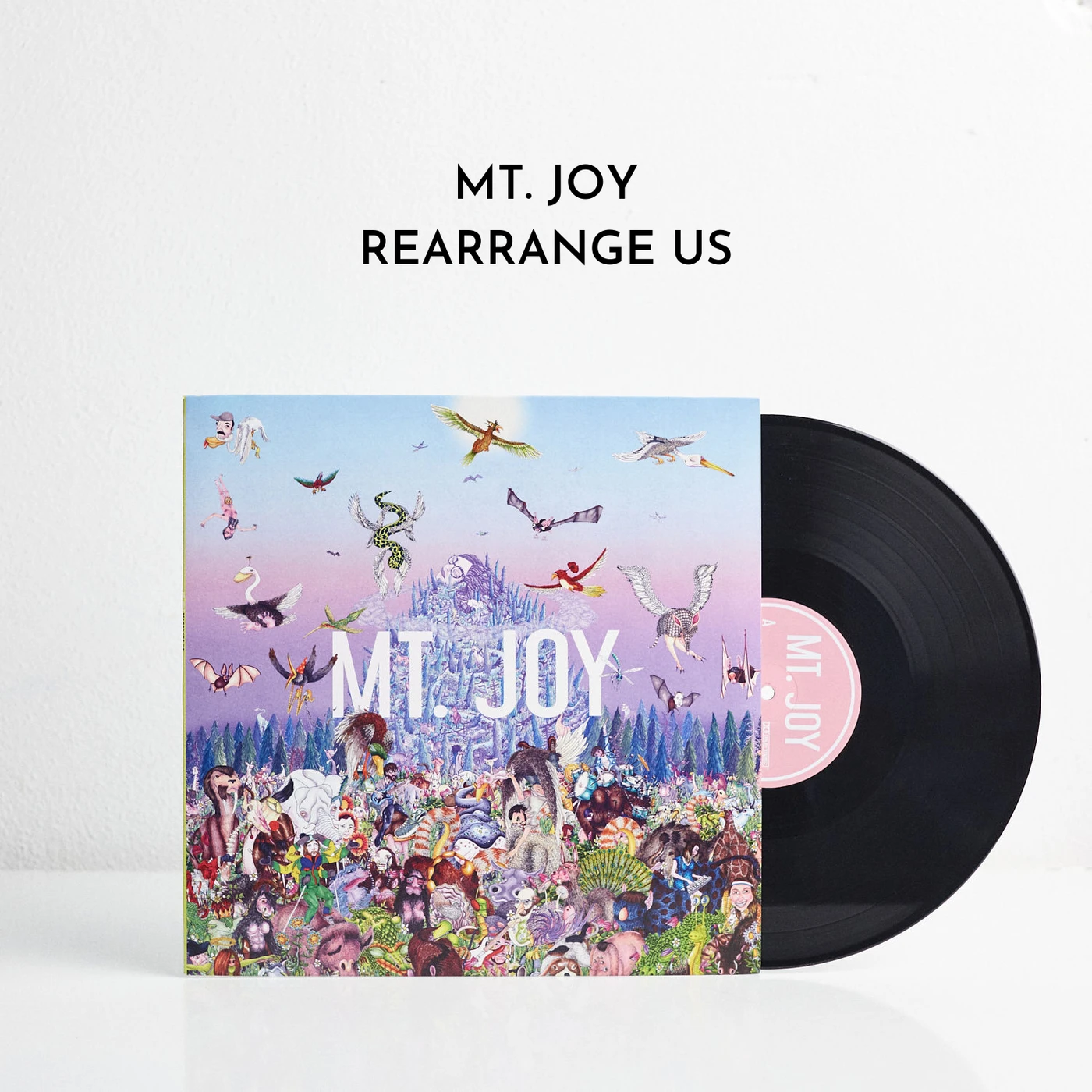 Mt. Joy Rearrange Us (Vinyl)