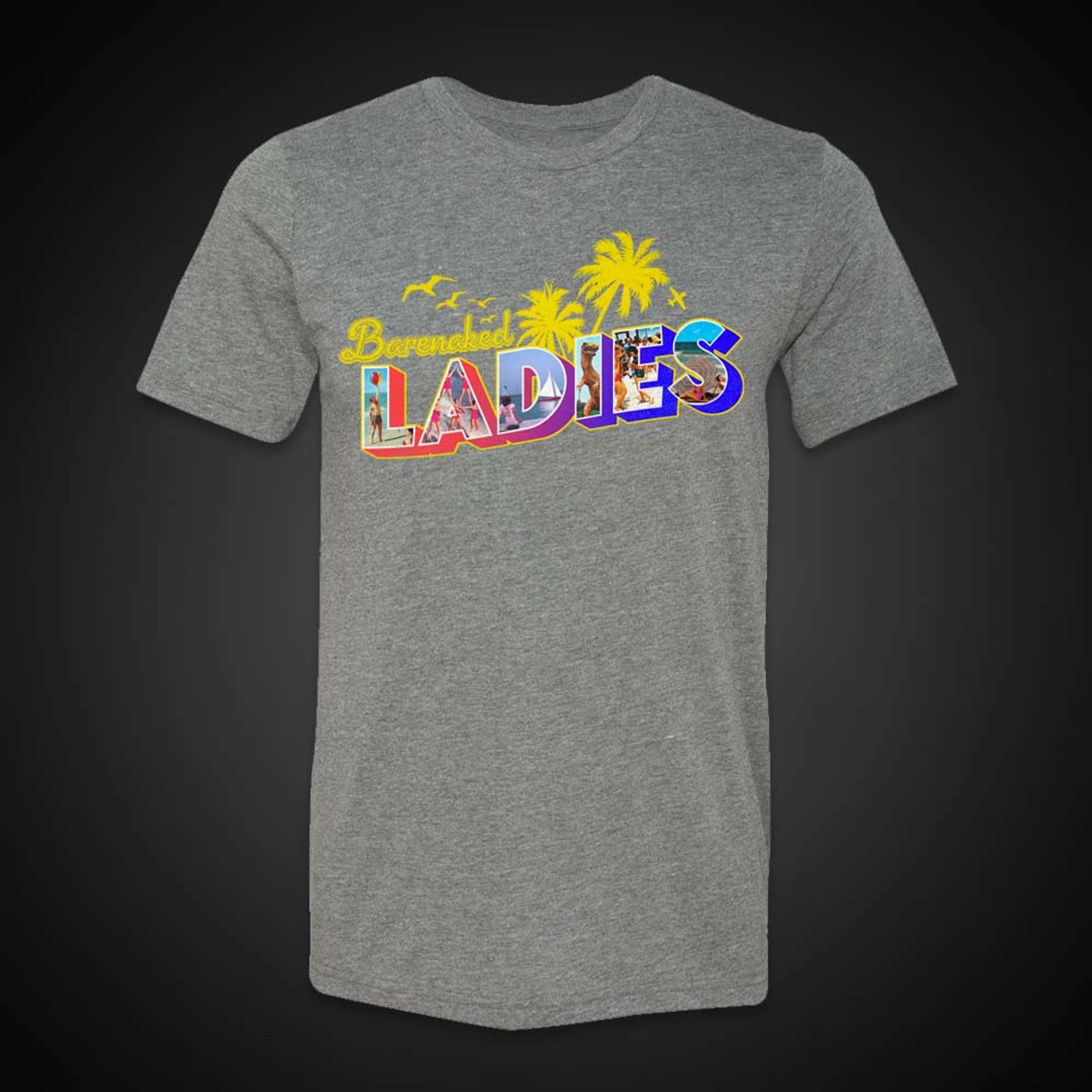 Barenaked Ladies BNL SummerScape Logo Grey Tee