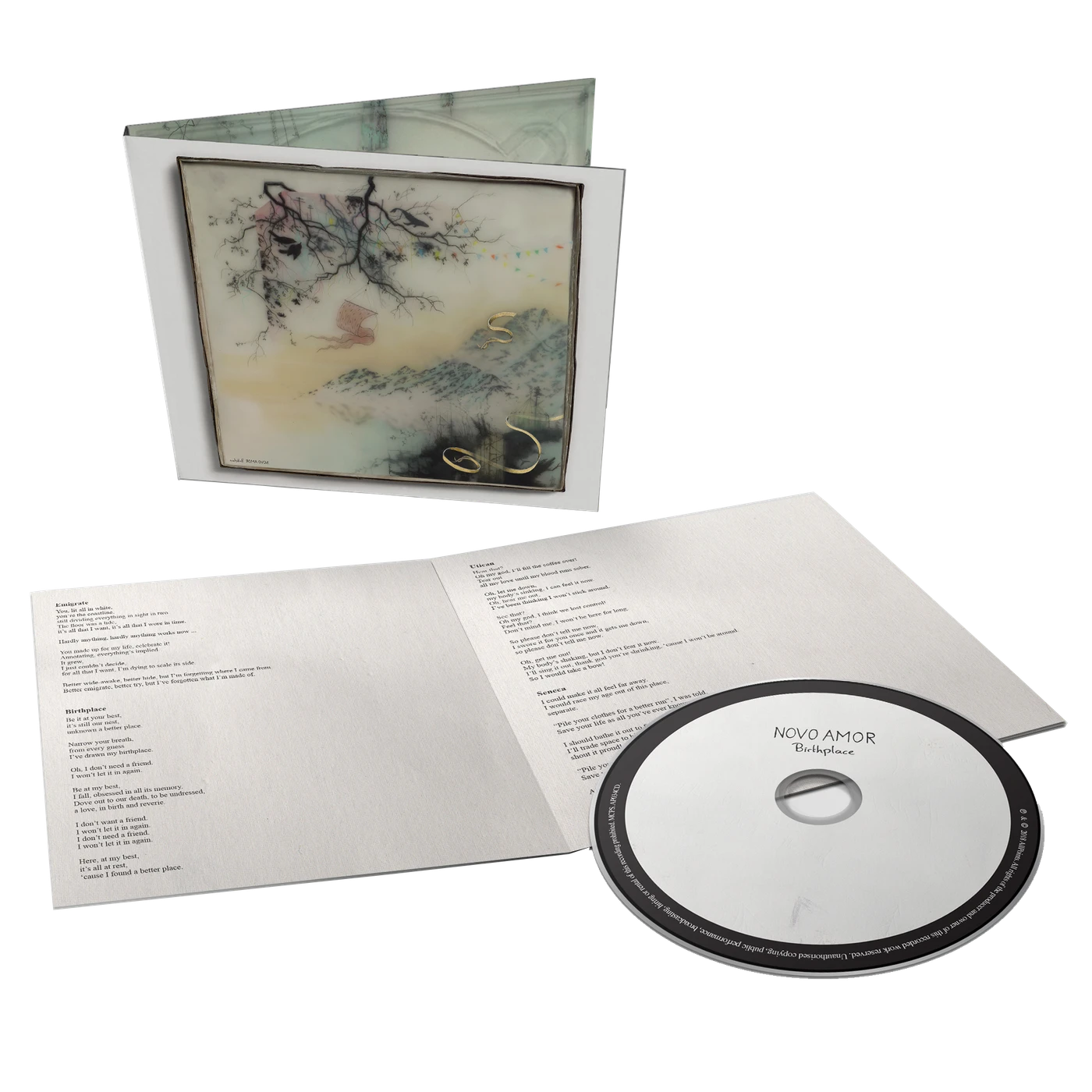 Novo Amor Birthplace (CD)