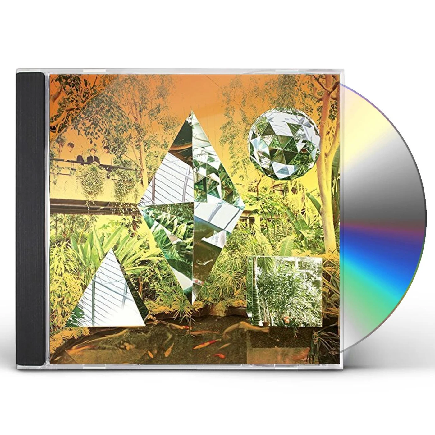 Clean Bandit Store: Official Merch & Vinyl