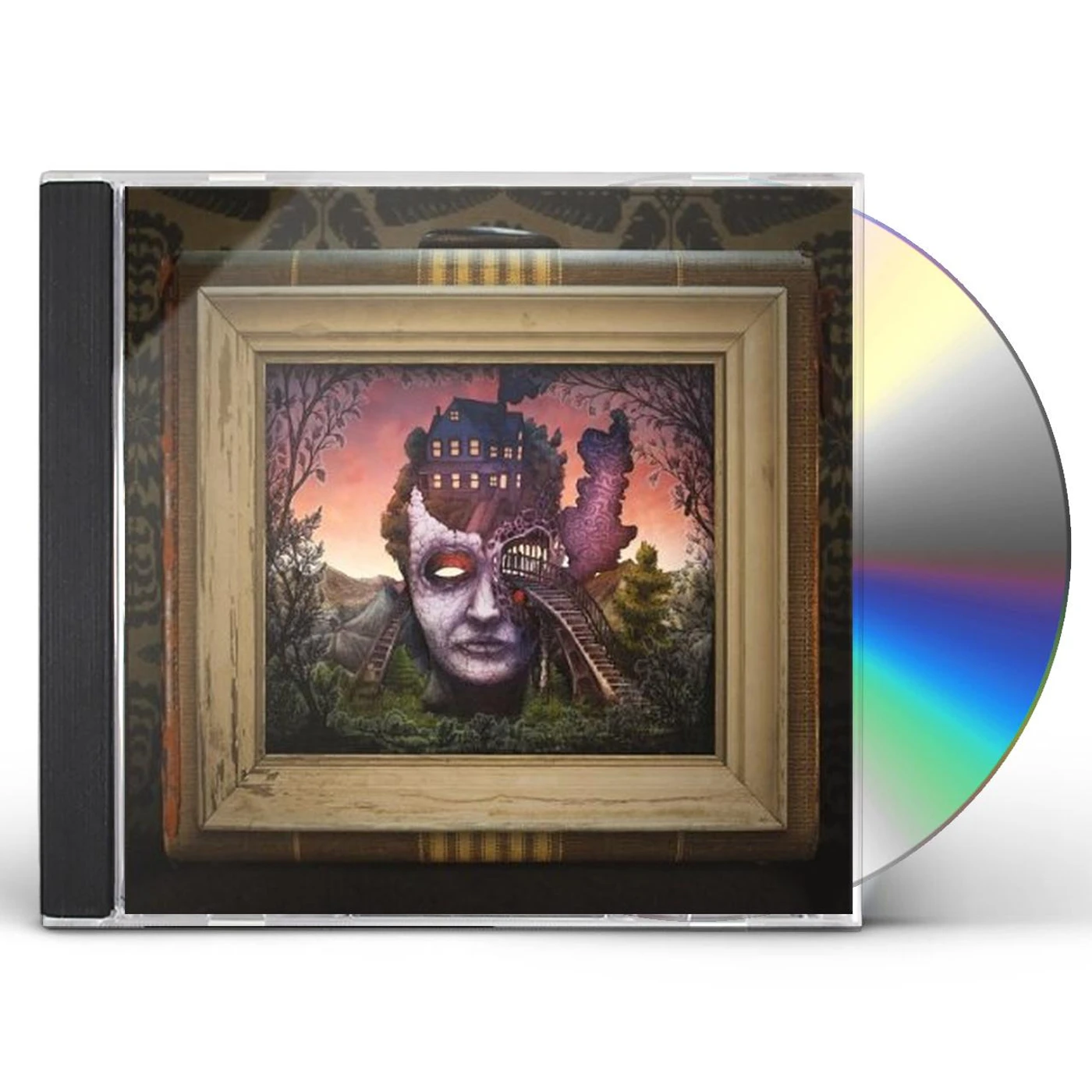 Ohio Sky THIS HOUSE IS OLD & FILLED WITH GHOSTS CD