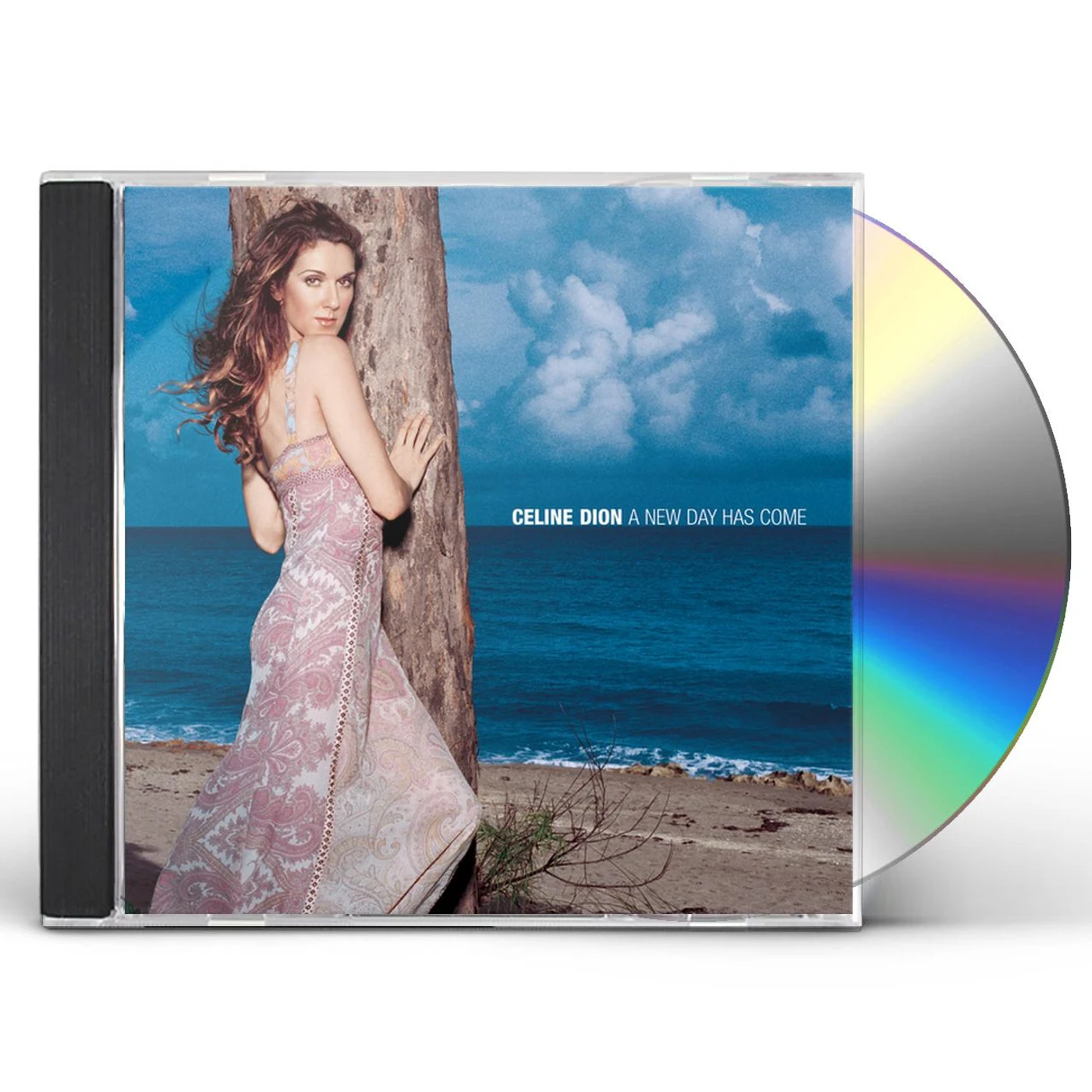 Céline Dion NEW DAY HAS COME CD
