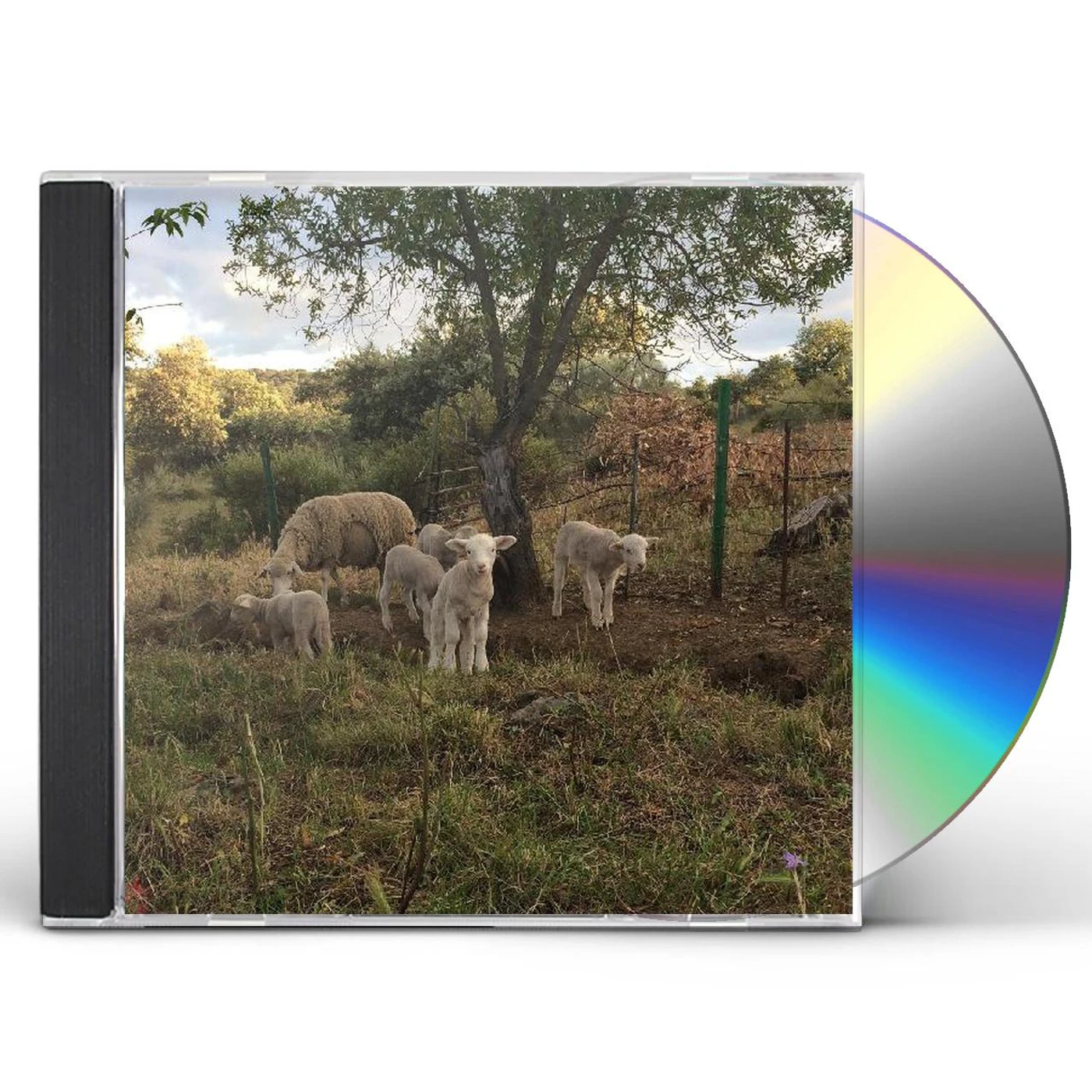 Josephine Foster NO HARM DONE CD