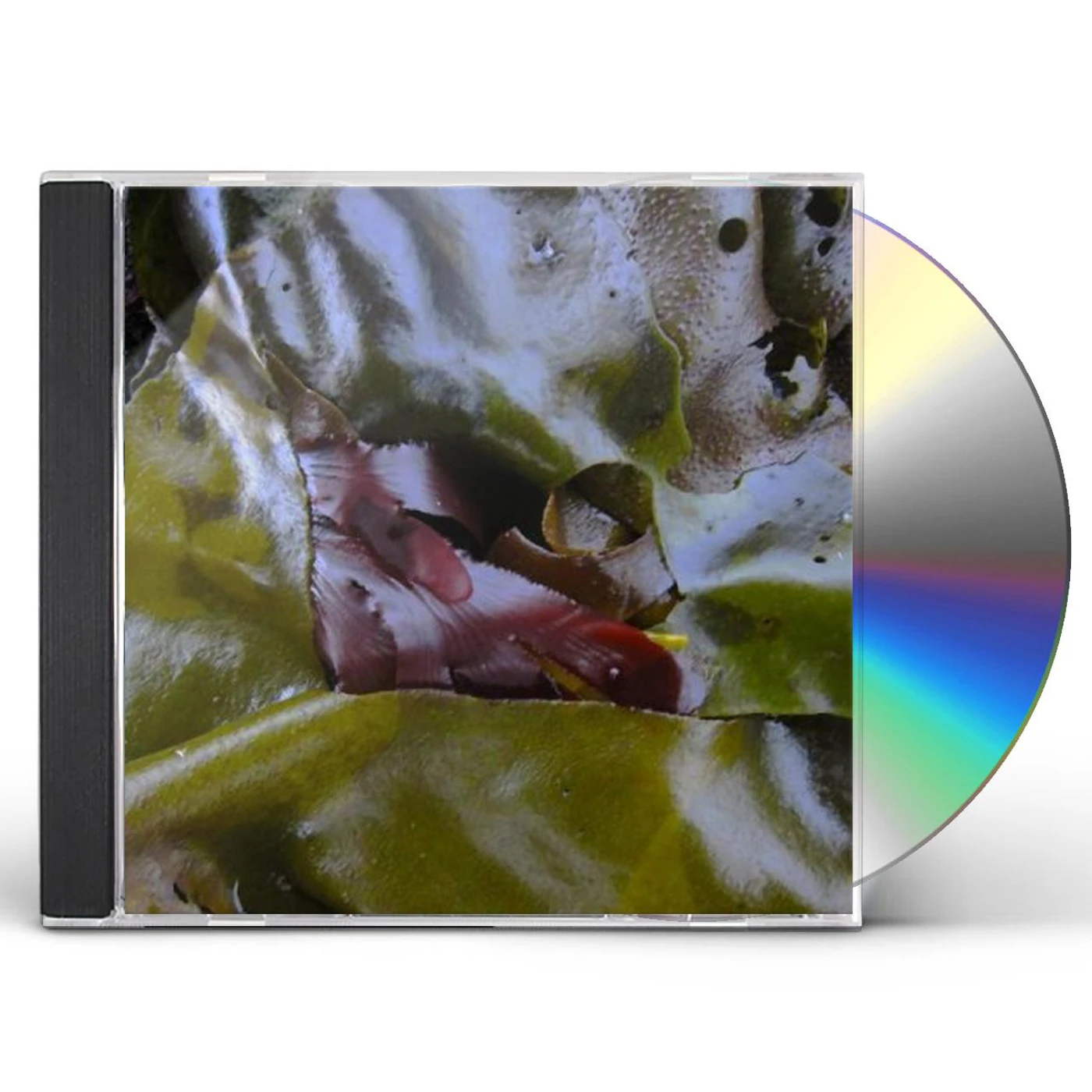SPOOL3 CD