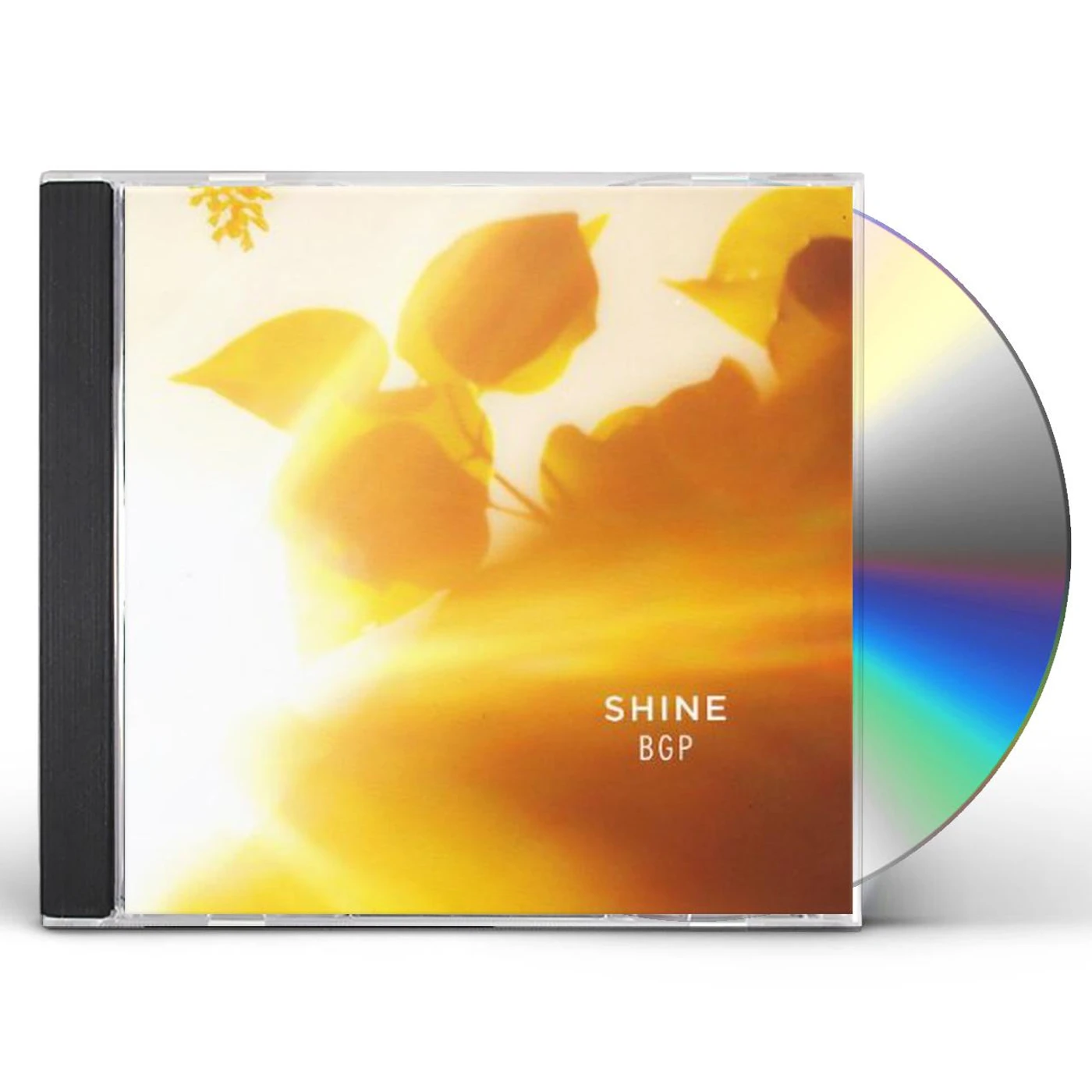 Bluegrass Gospel Project SHINE CD