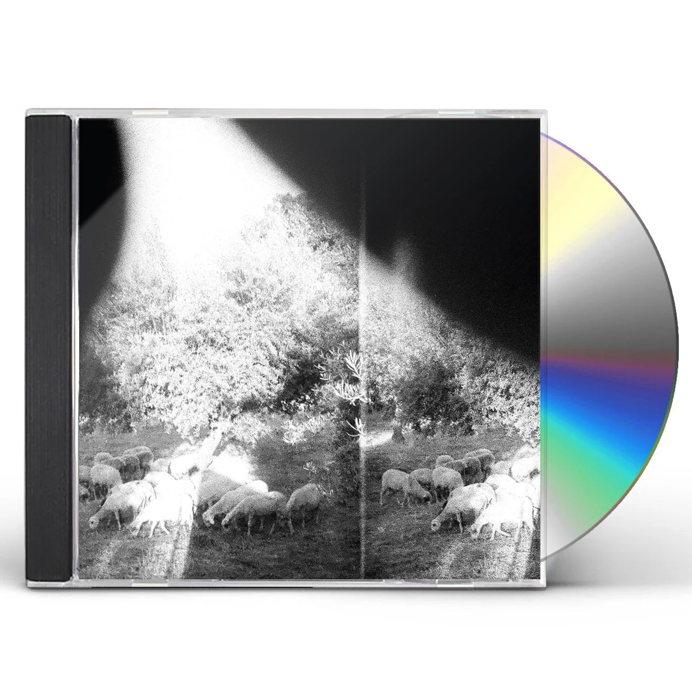 Godspeed You! Black Emperor ASUNDER SWEET & OTHER DISTRESS CD