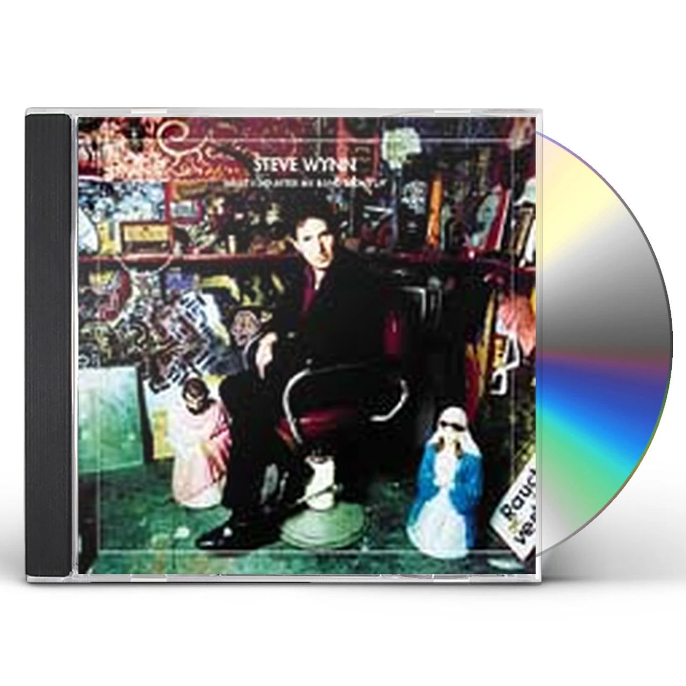 Steve Wynn WHAT I DID AFTER MY BAND BROKE UP: BEST OF STEVE CD