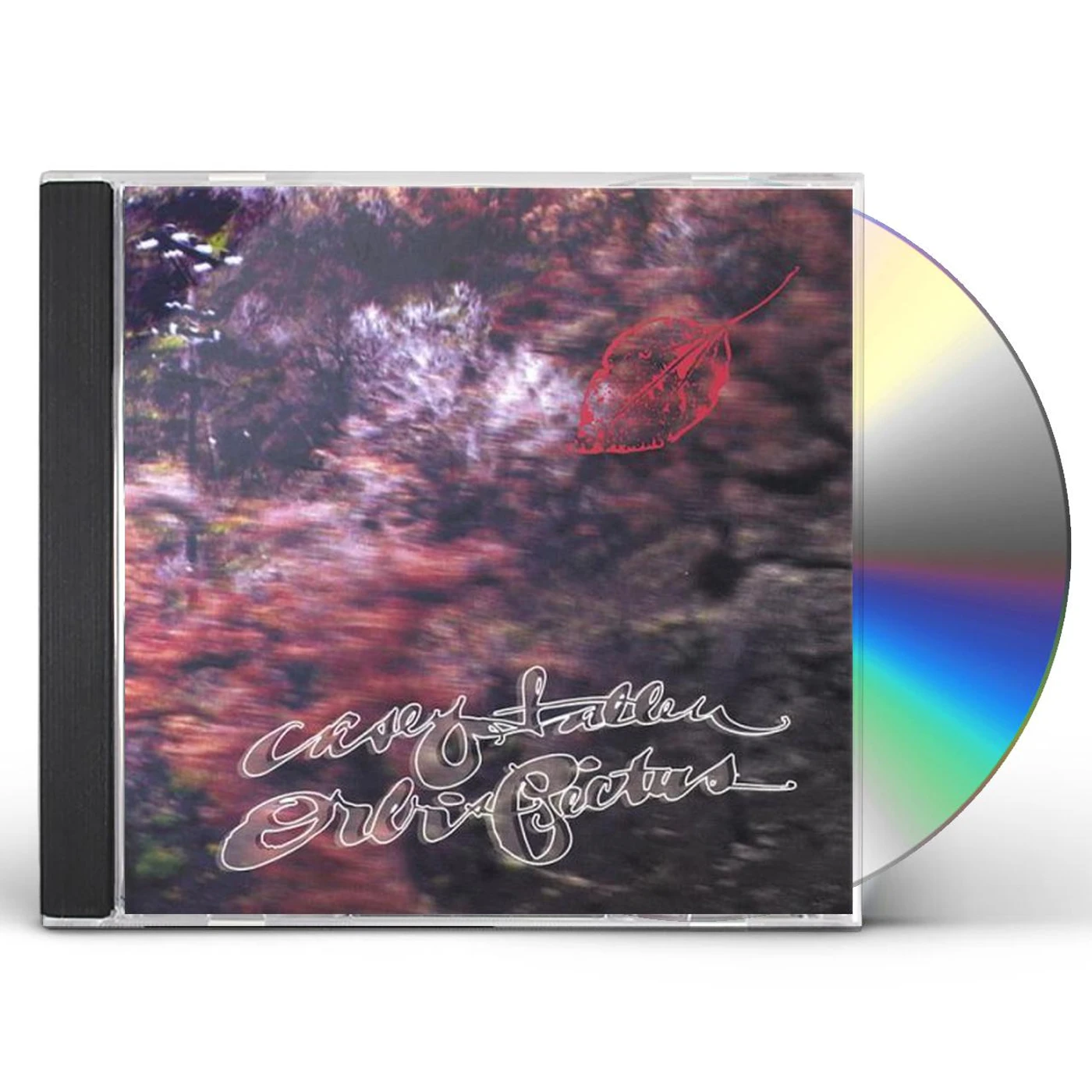 Casey Fallen ORBIS PICTUS CD