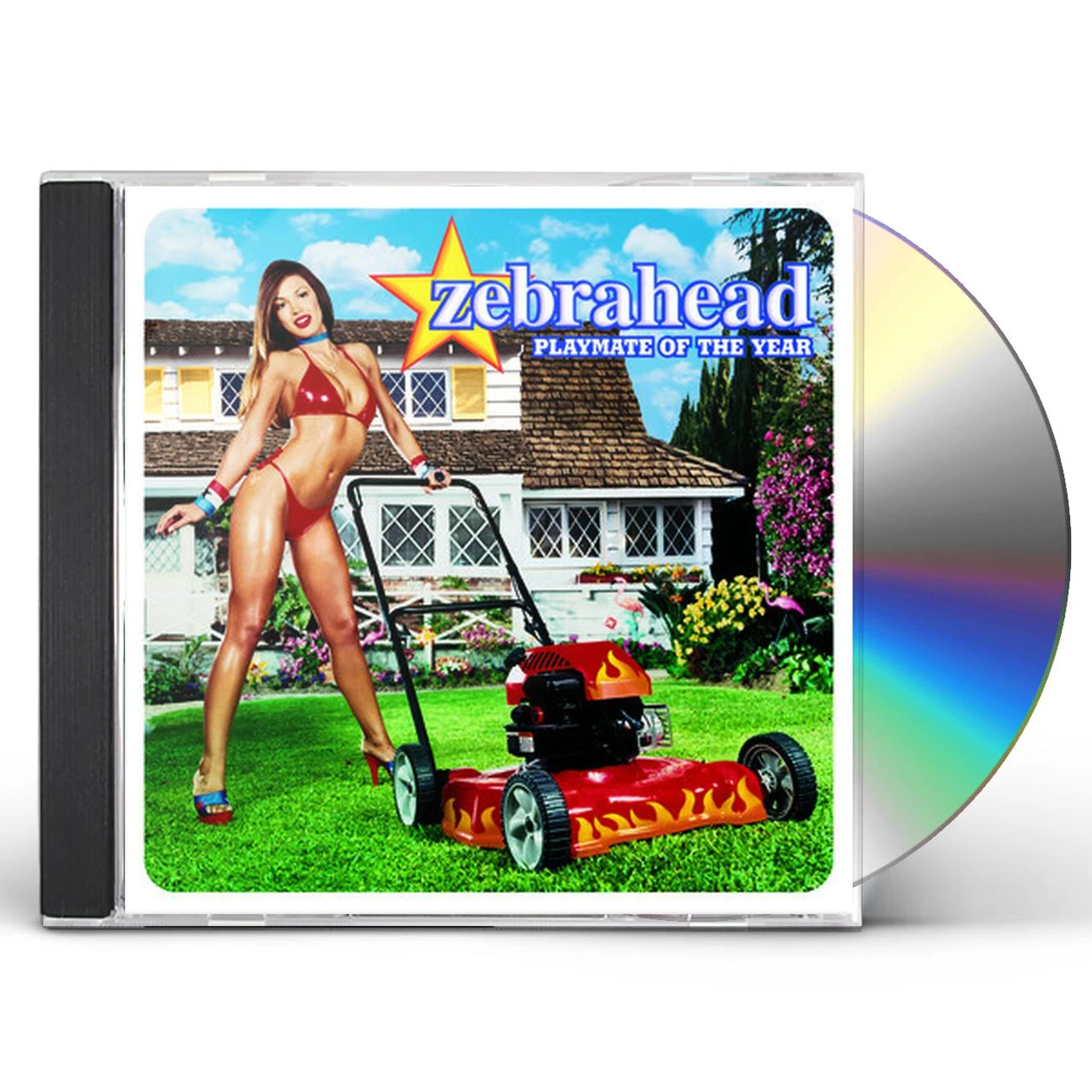 zebrahead PLAYMATE OF THE YEAR CD