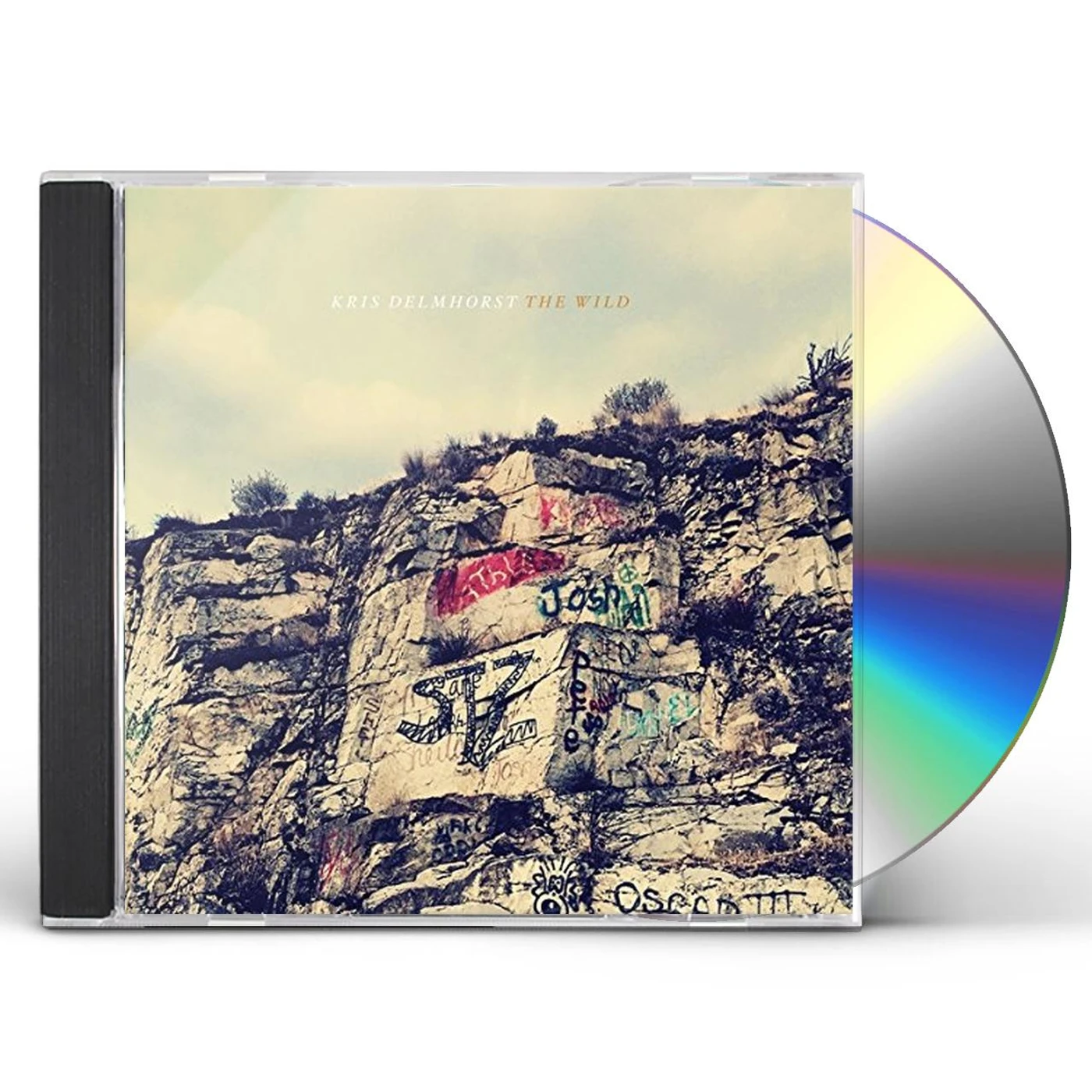 Kris Delmhorst WILD CD