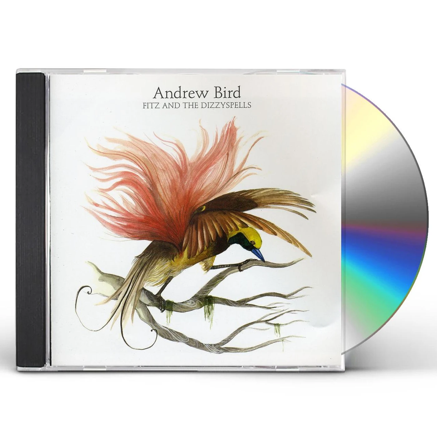 Andrew Bird FITS & DIZZY SPELLS EP CD