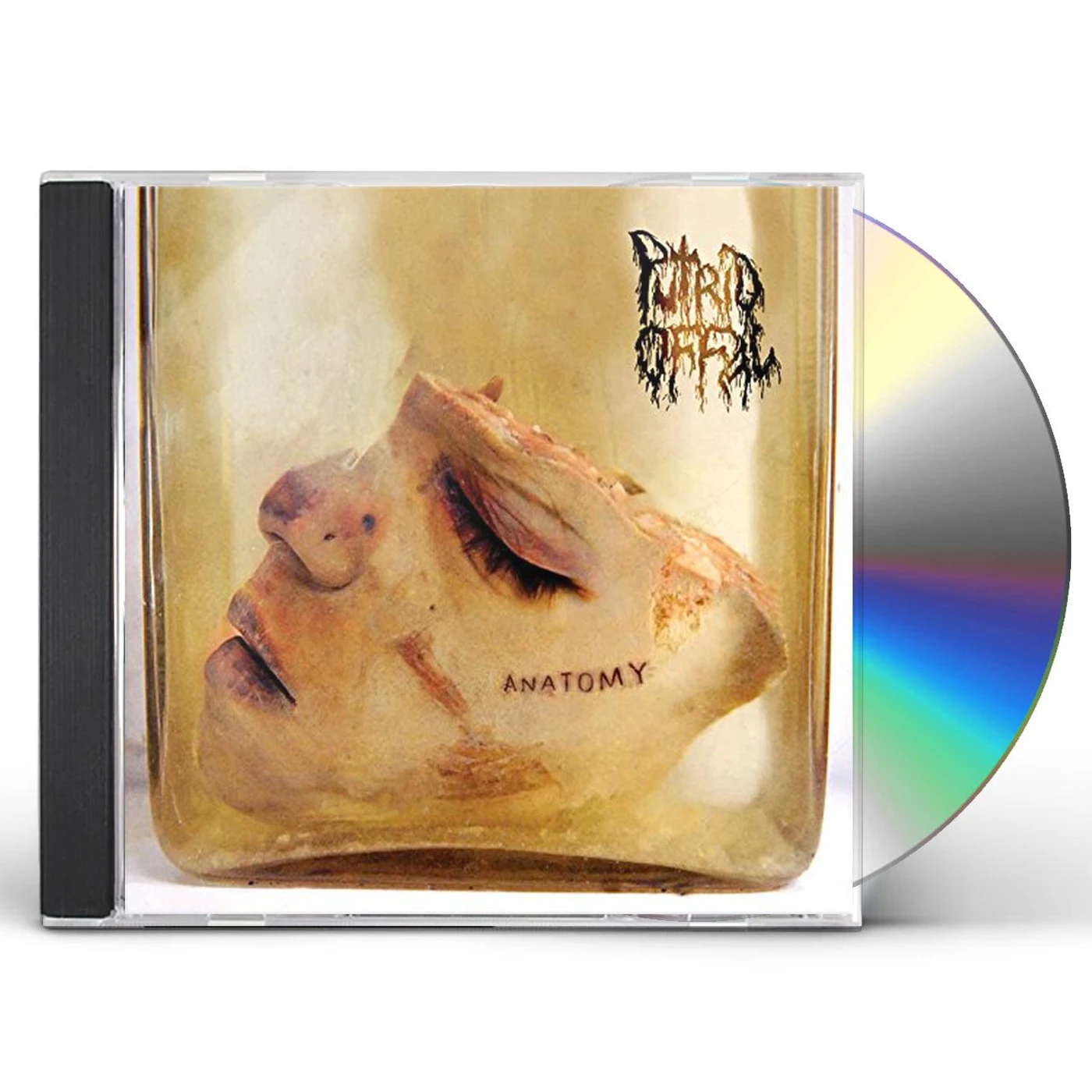 Putrid Offal ANATOMY CD