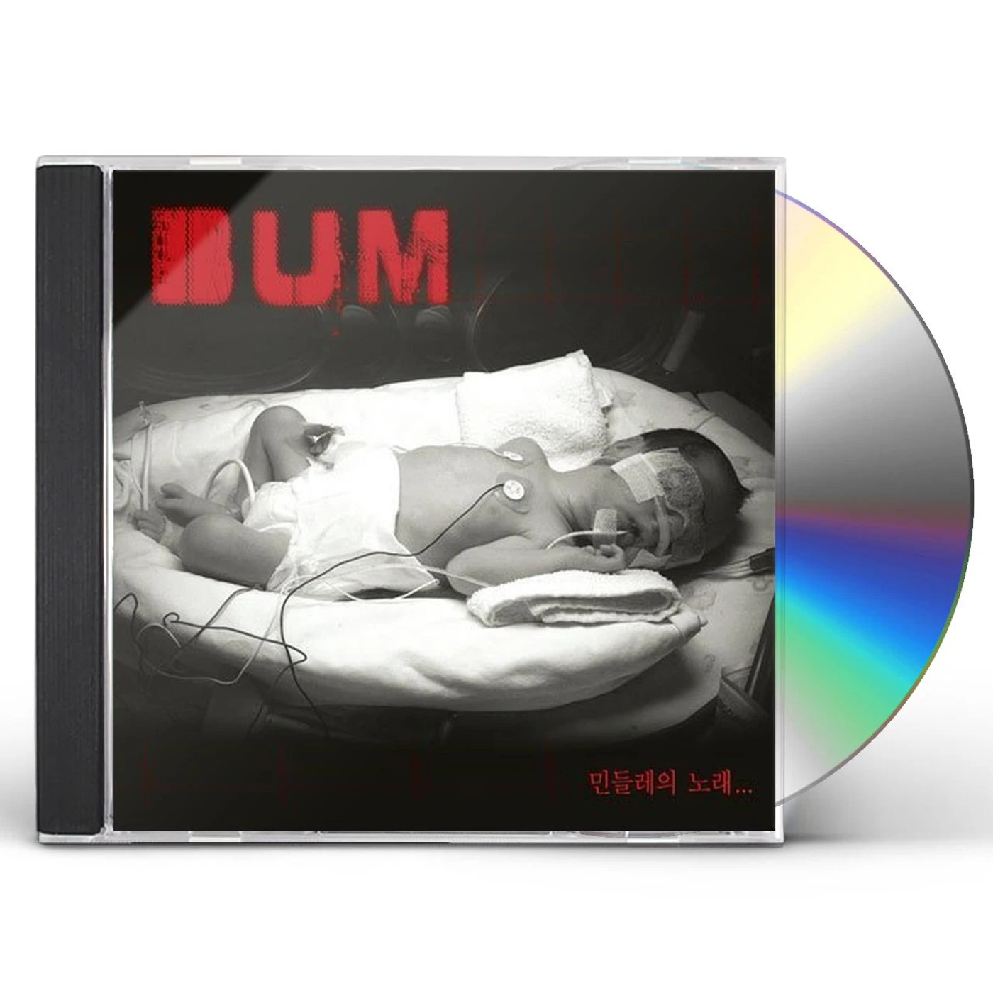 Bum DANDELION'S SONG CD