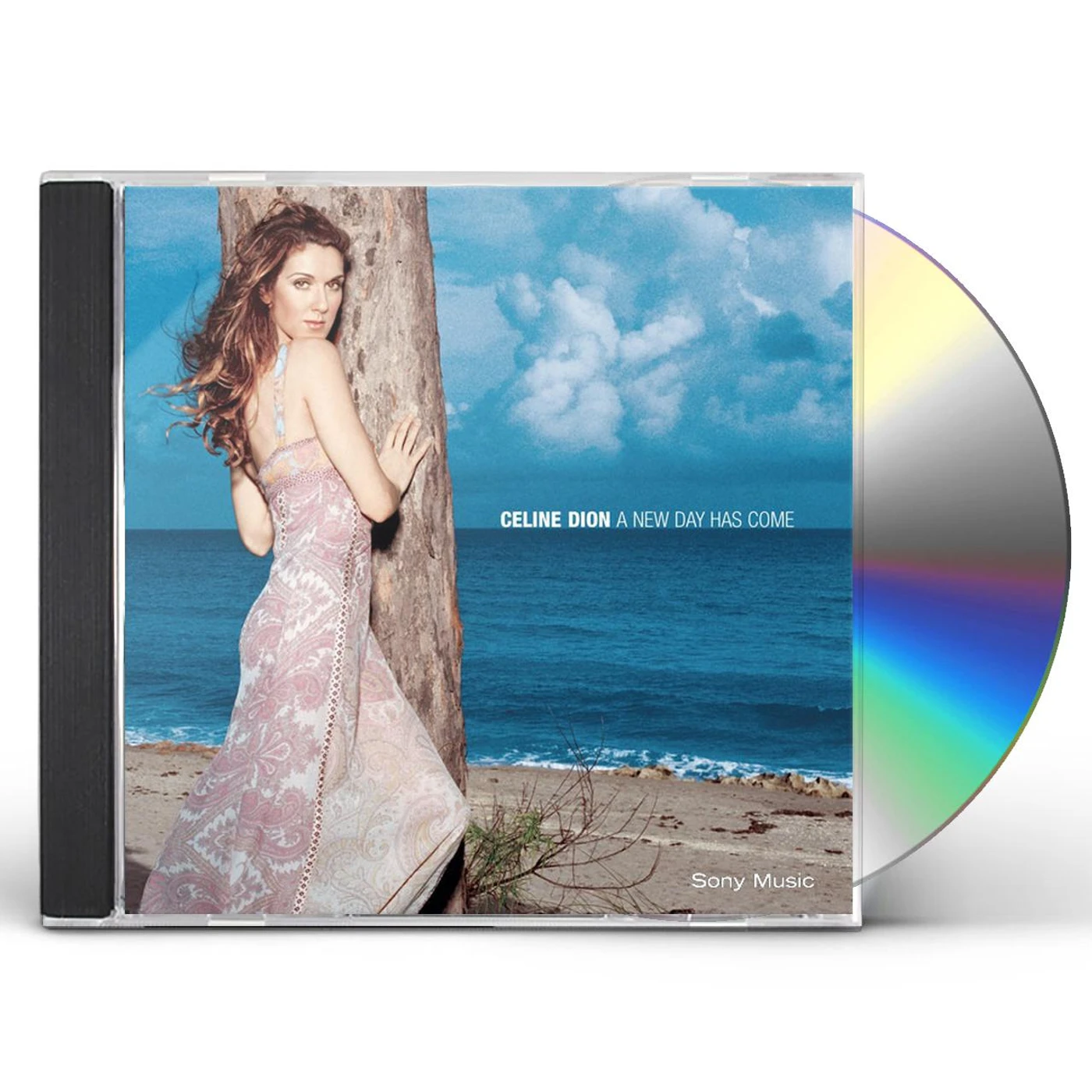 Céline Dion A NEW DAY HAS COME CD