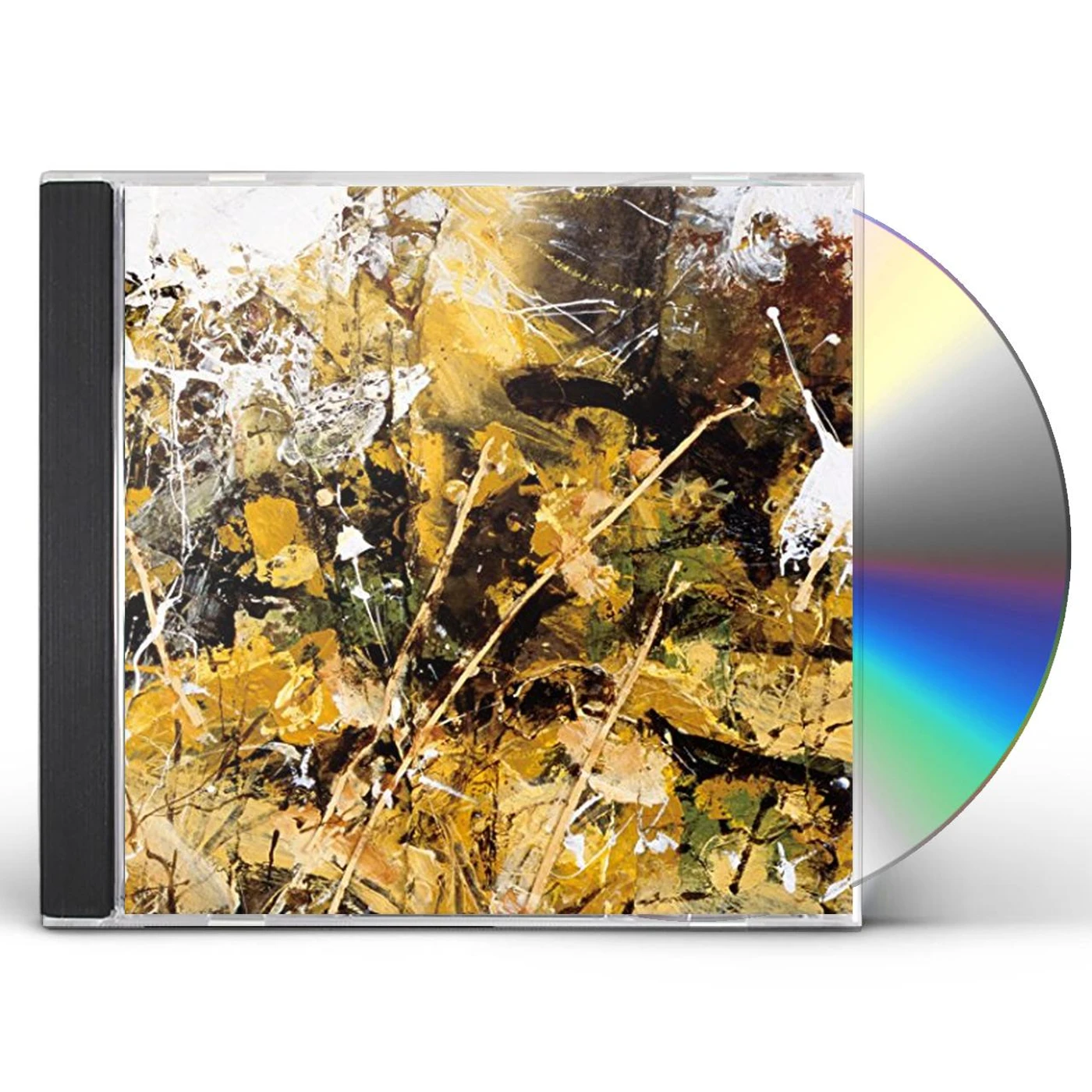 Tiny Leaves NOTES ON BELONGING CD