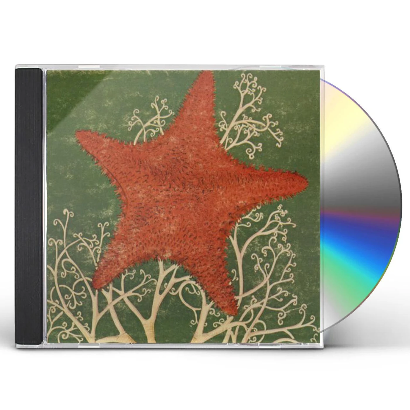 The Blithe Sons ARM OF THE STARFISH CD