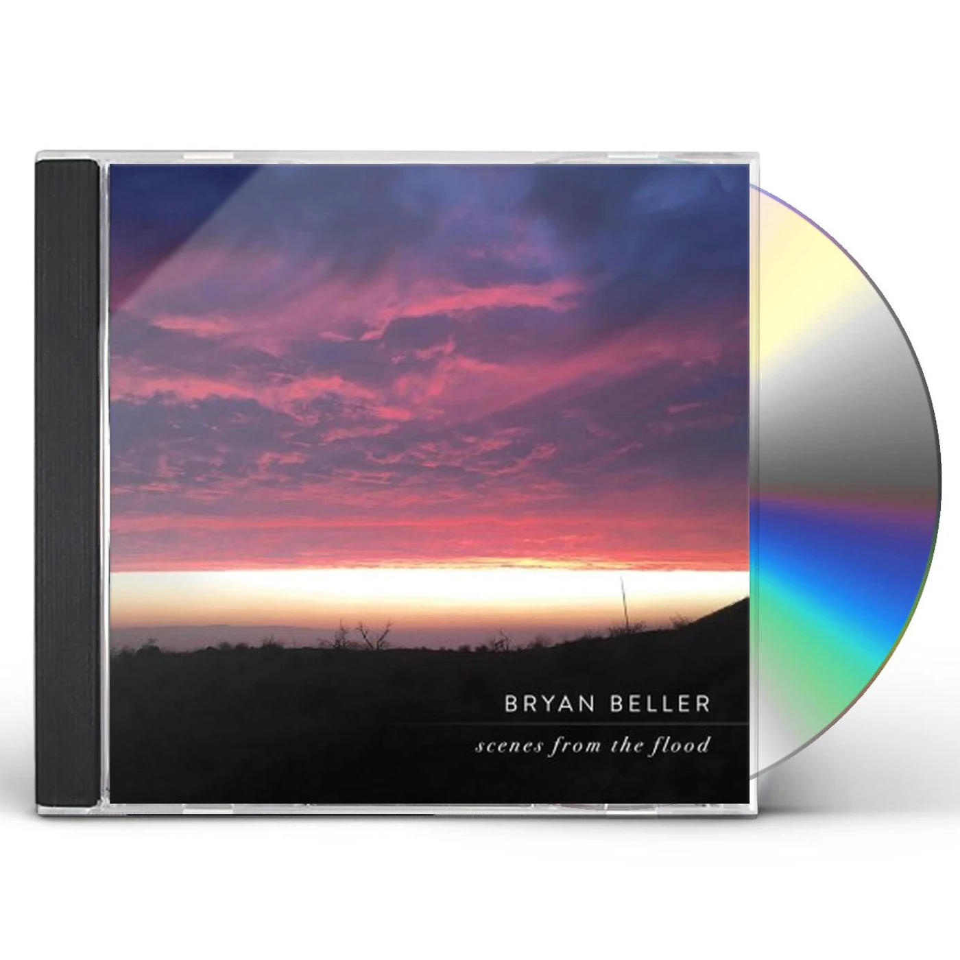 Bryan Beller SCENES FROM THE FLOOD CD