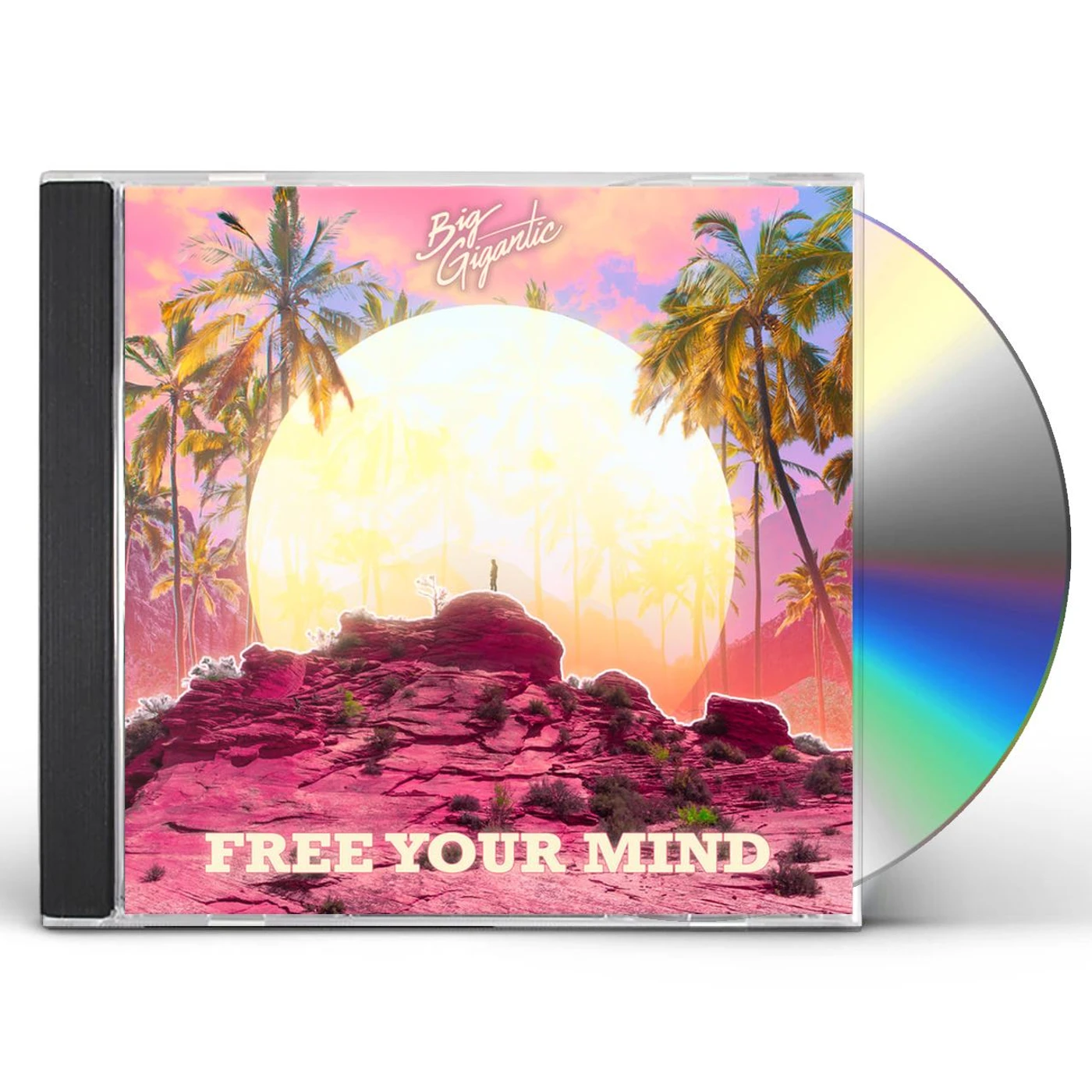 Big Gigantic FREE YOUR MIND CD
