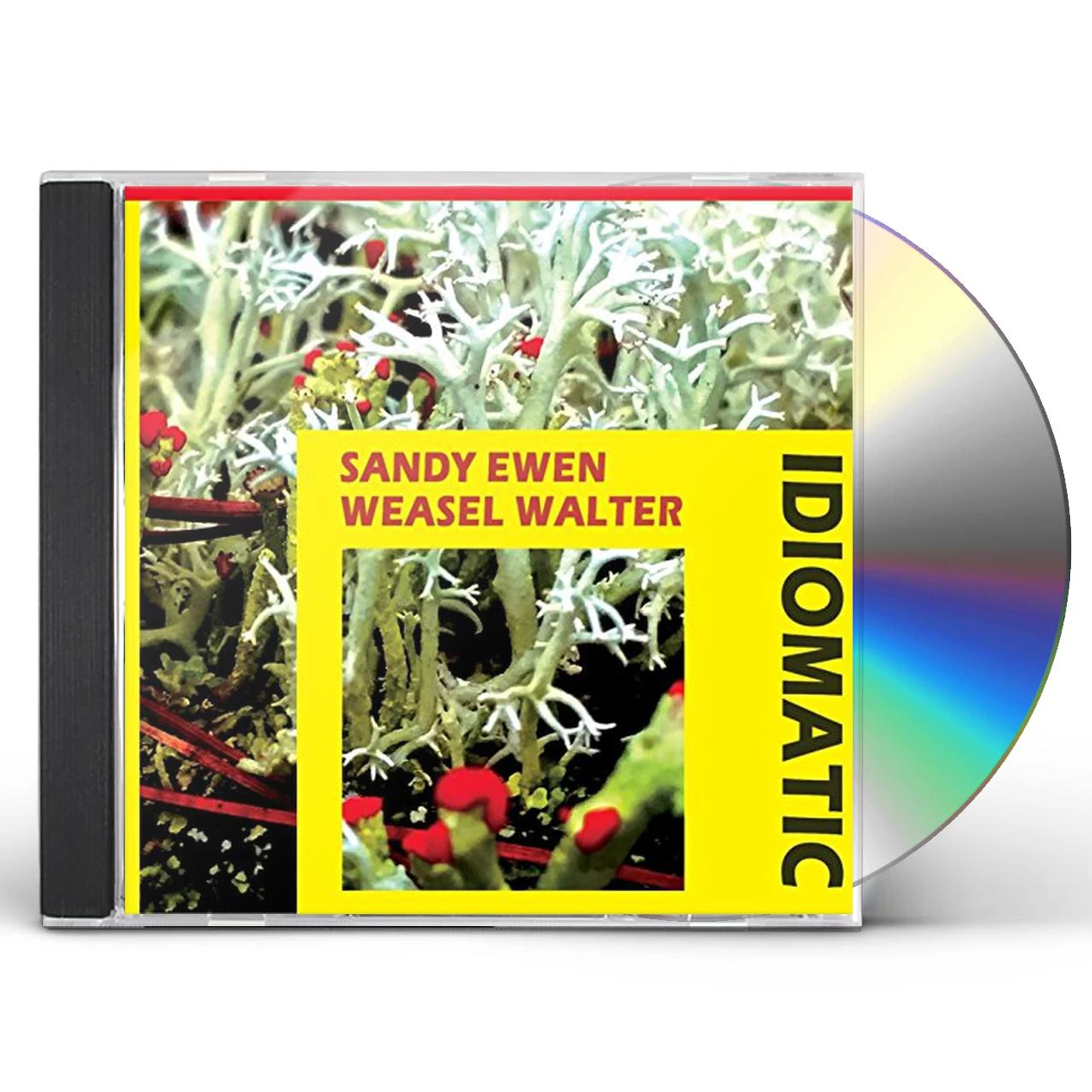 Sandy Ewen IDIOMATIC CD