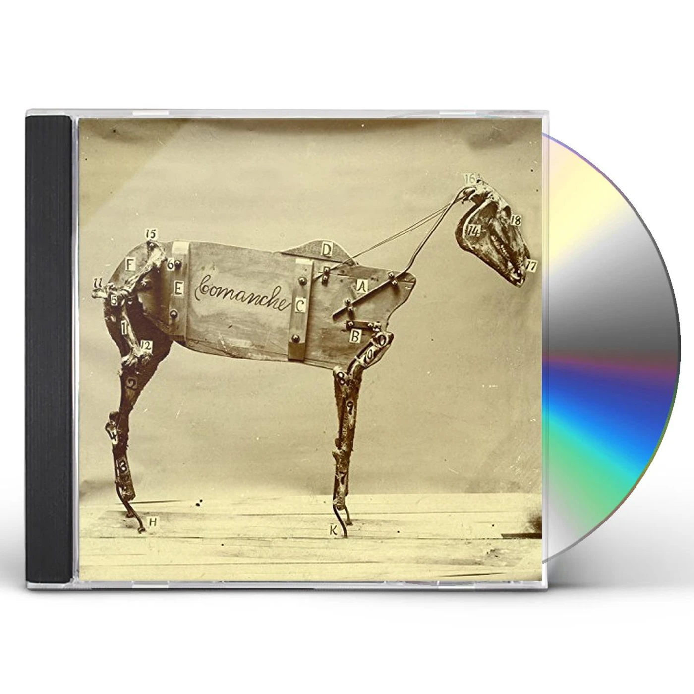Chadwick Stokes HORSE COMANCHE CD