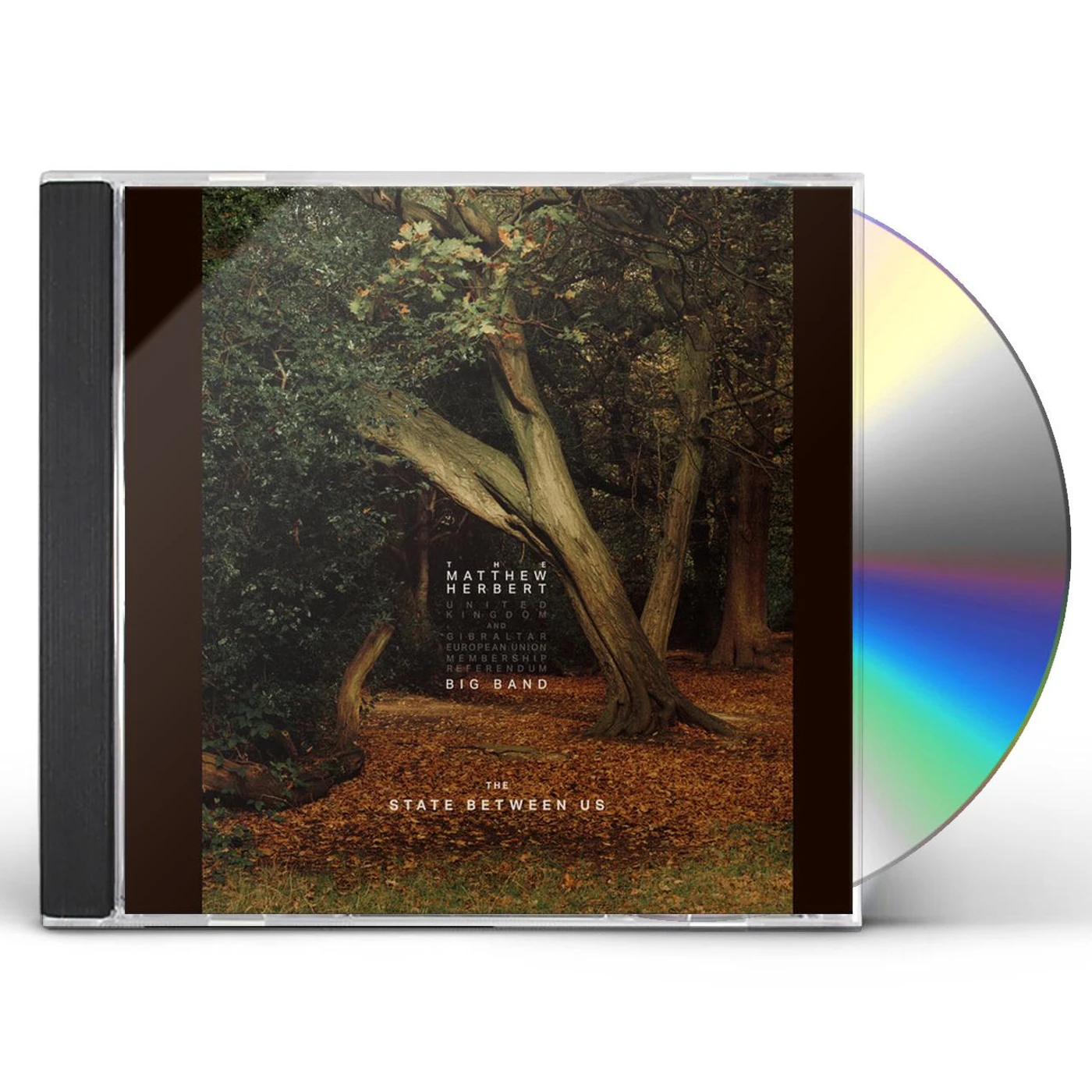 The Matthew Herbert Big Band STATE BETWEEN US CD