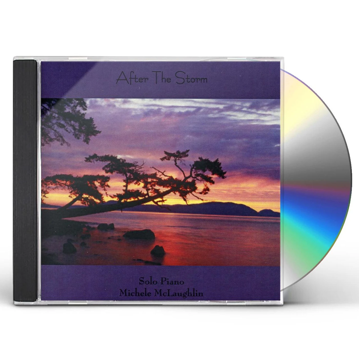 Michele McLaughlin AFTER THE STORM CD