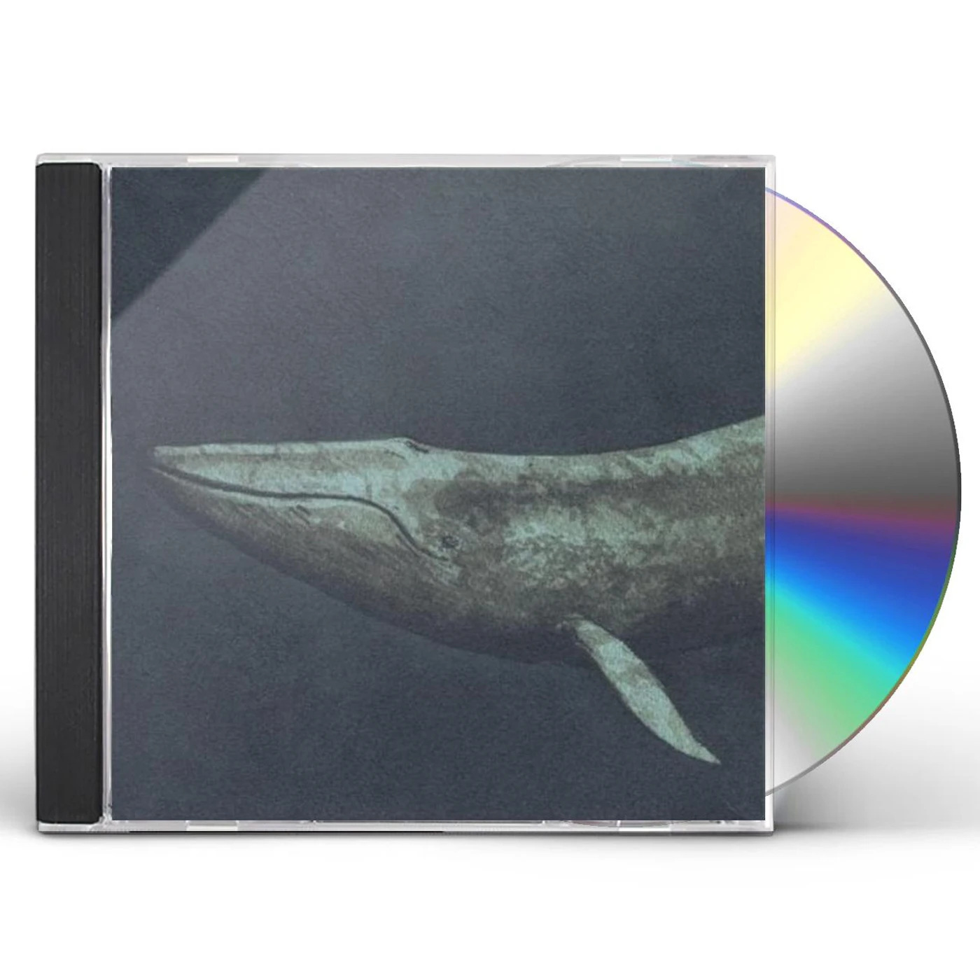 Seth Bernard BEING THIS BEING (REMASTERED) CD