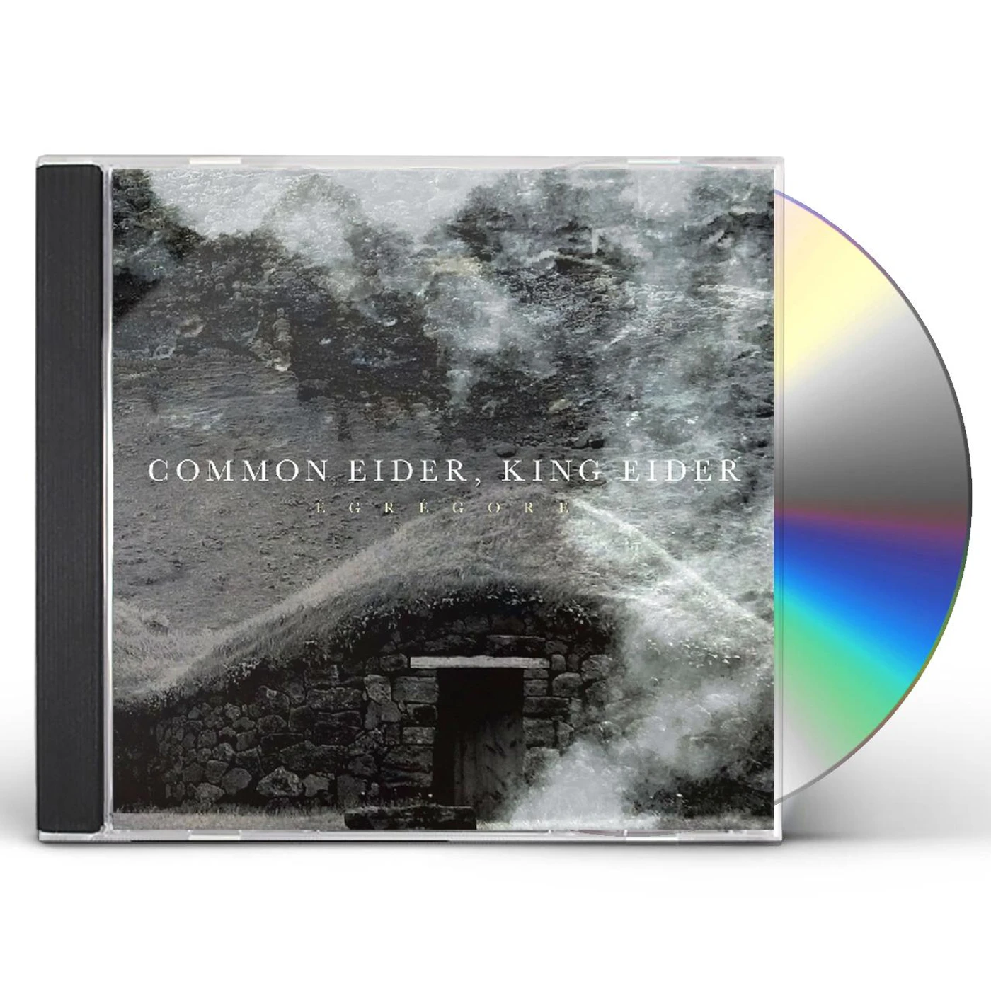Common Eider, King Eider EGREGORE CD