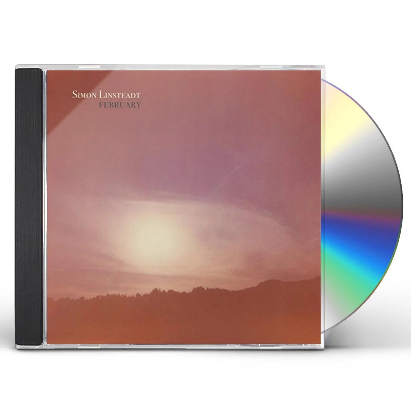 Simon Linsteadt FEBRUARY CD