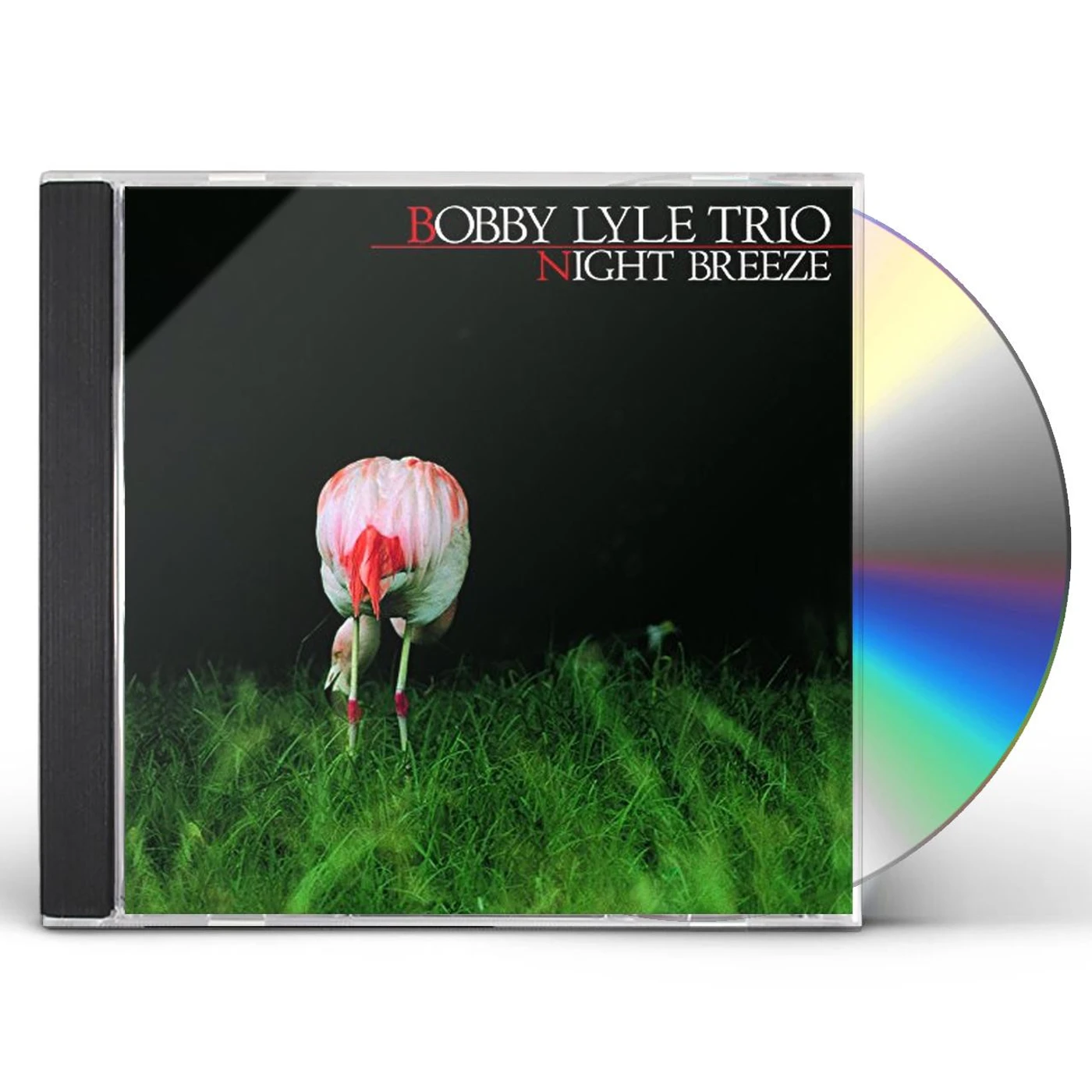 Bobby Lyle NIGHT BREEZE CD