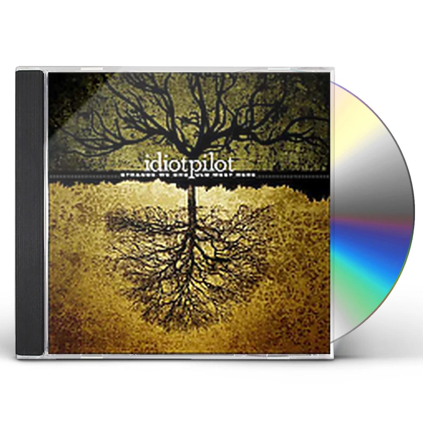Idiot Pilot STRANGE WE SHOULD MEET HERE CD