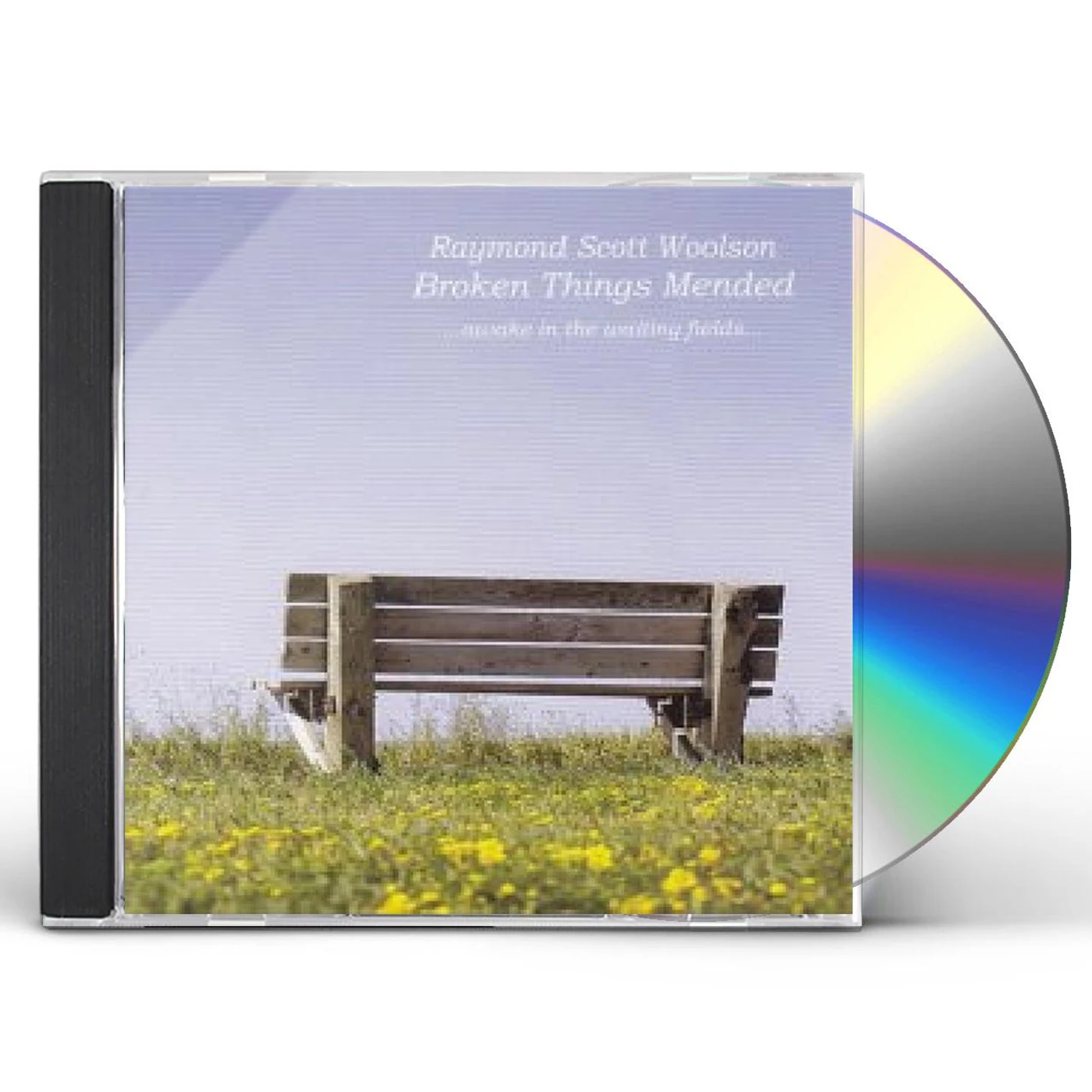 Raymond Scott Woolson BROKEN THINGS MENDED CD