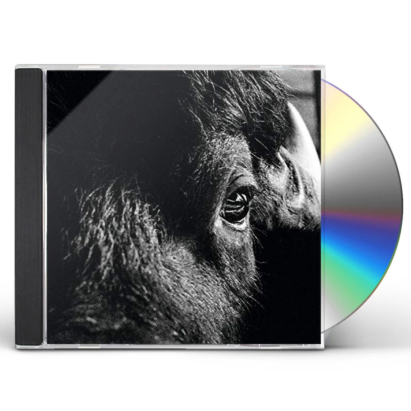 Killbody Tuning PICTORIAL CD