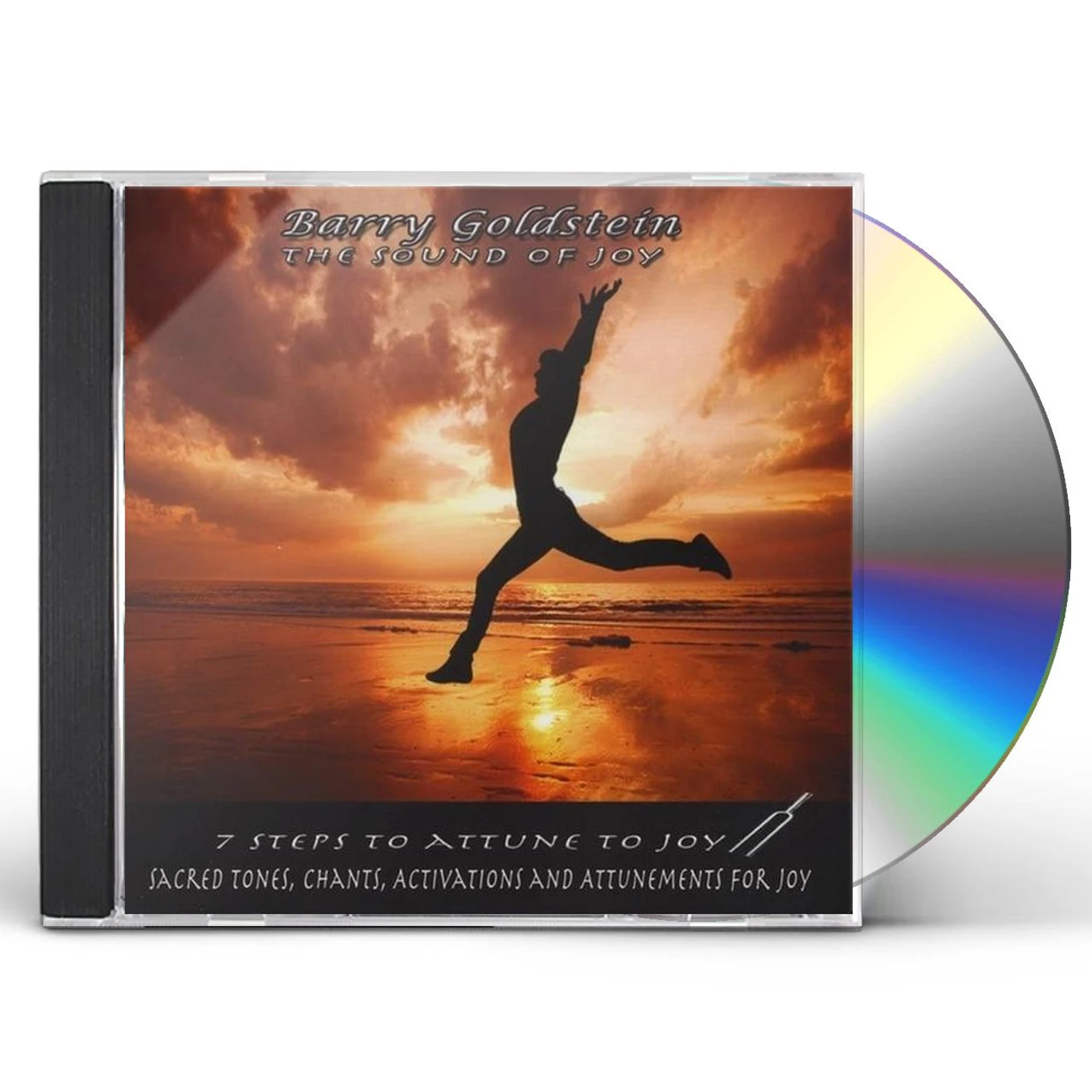 Barry Goldstein SOUND OF JOY CD