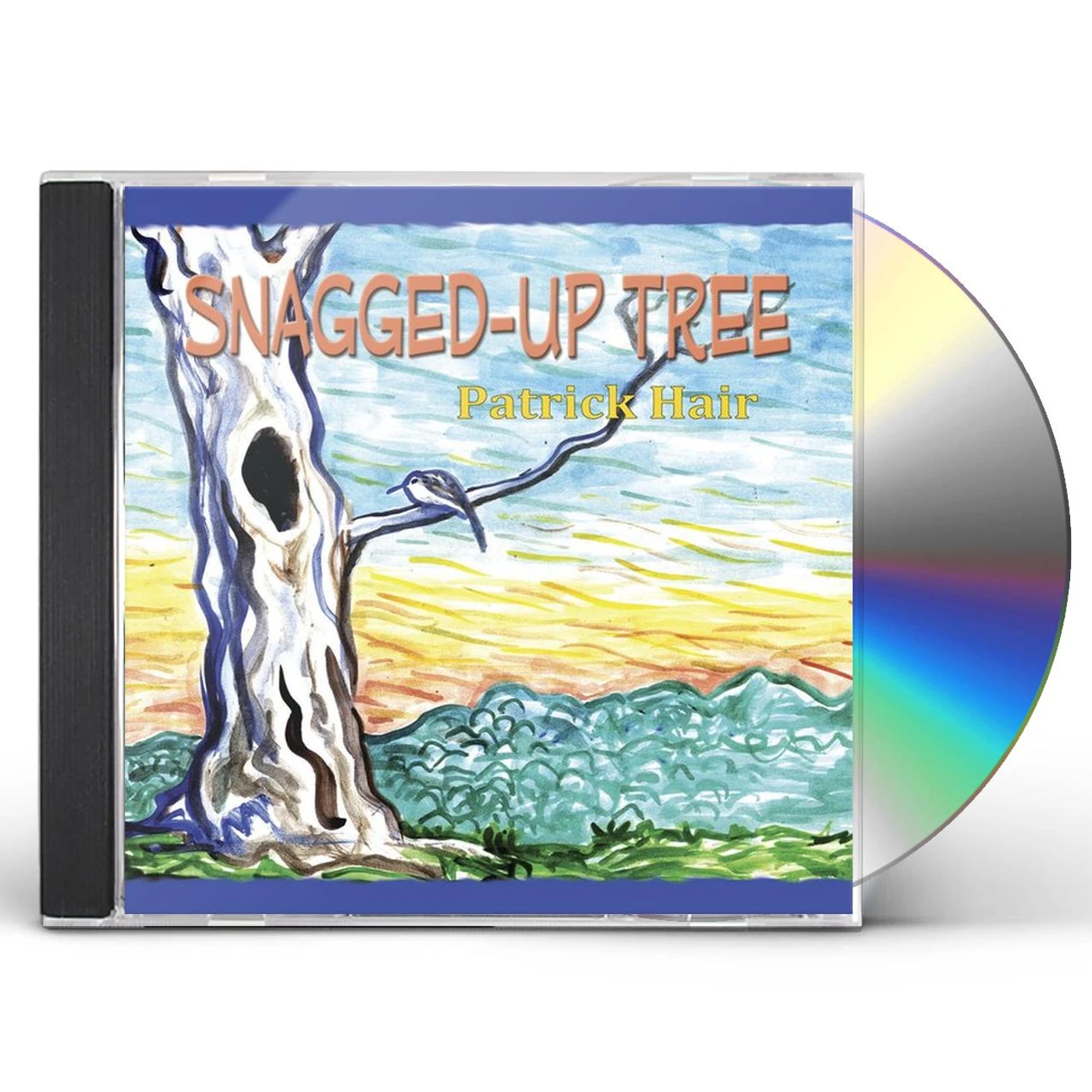 Mike Craig STUCK IN PHOENIX CD