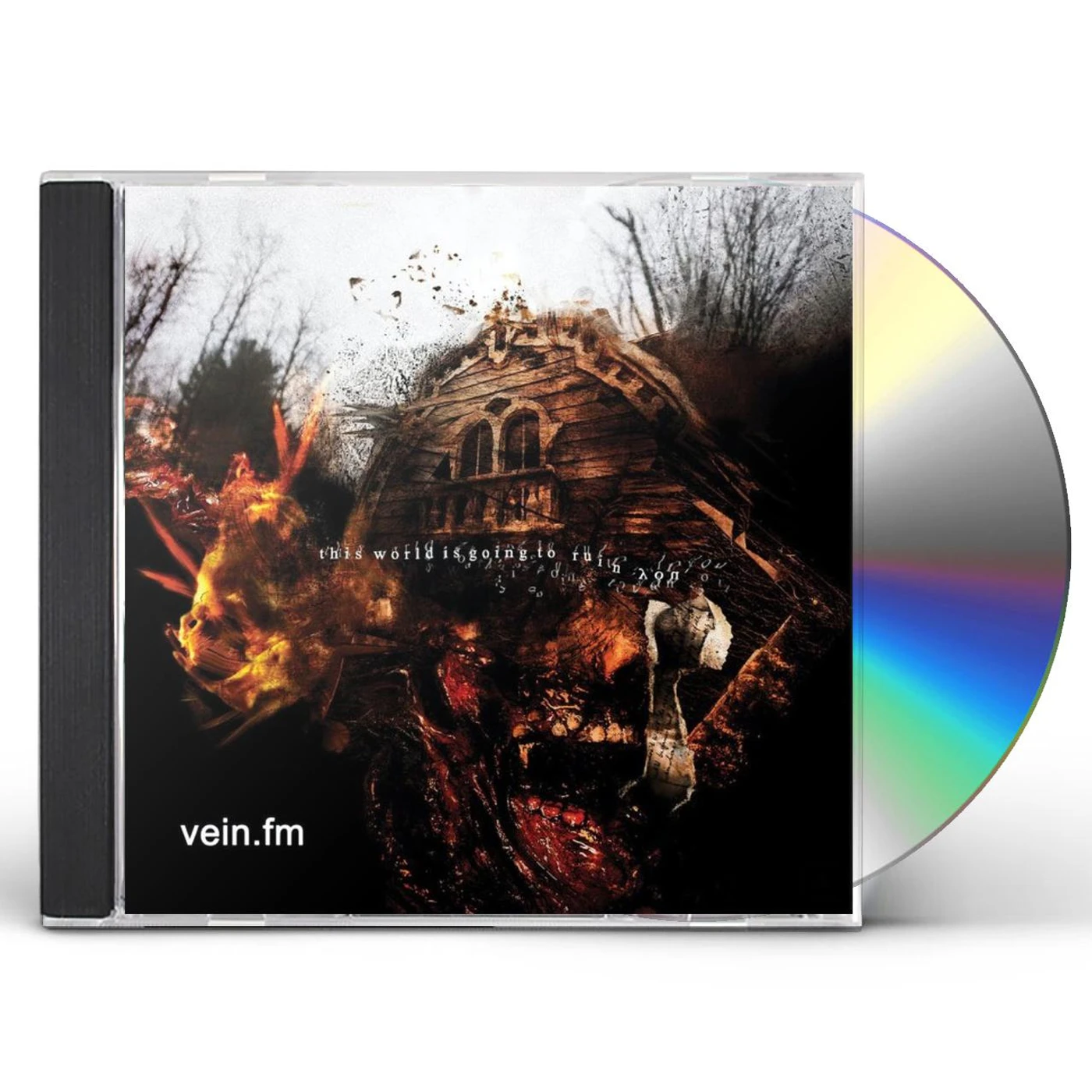 Vein.fm THIS WORLD IS GOING TO RUIN YOU CD