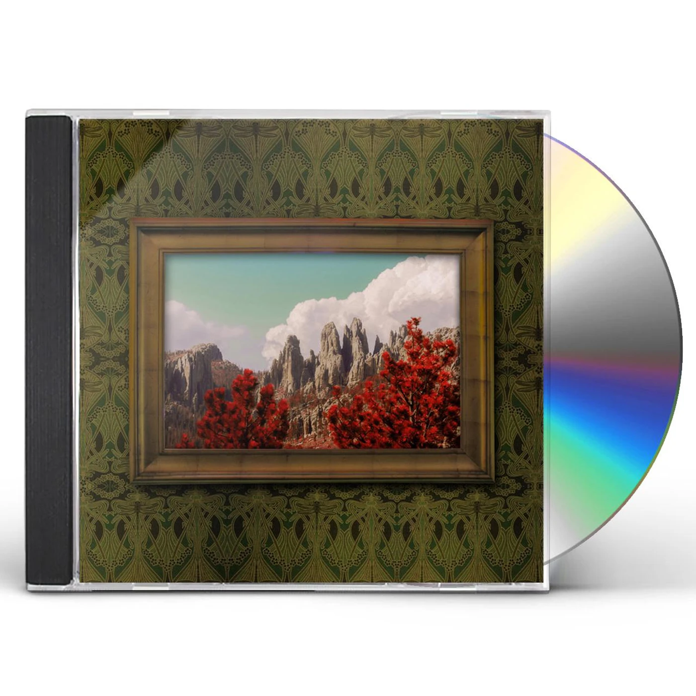 Anchor Thieves Delete Delete Vinyl Record