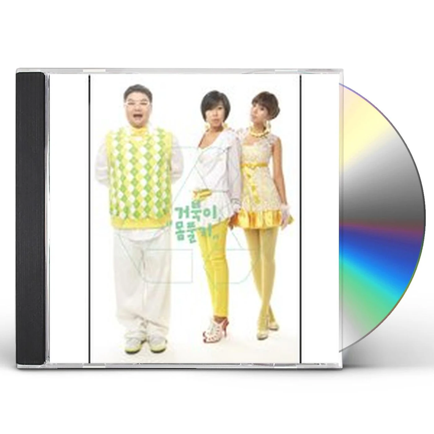 The Turtles REMAKE SINGLE ALBUM CD