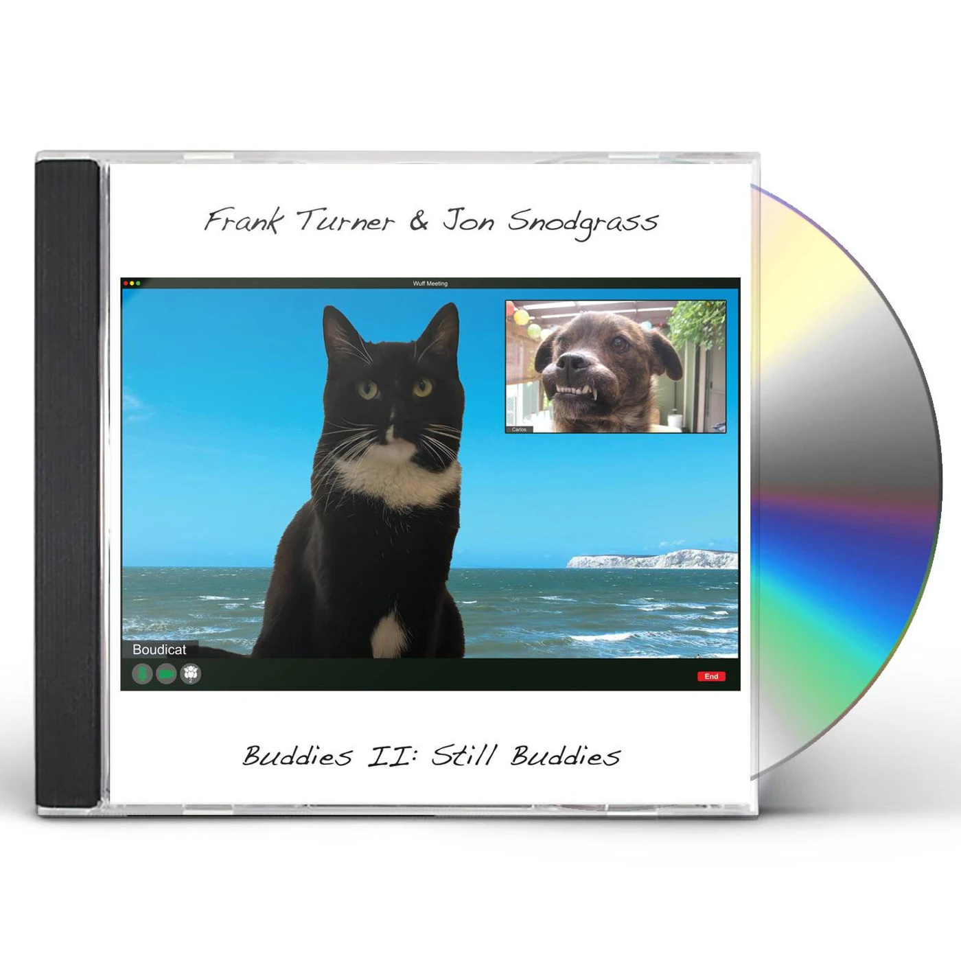 Frank Turner & Jon Snodgrass BUDDIES II: STILL BUDDIES CD